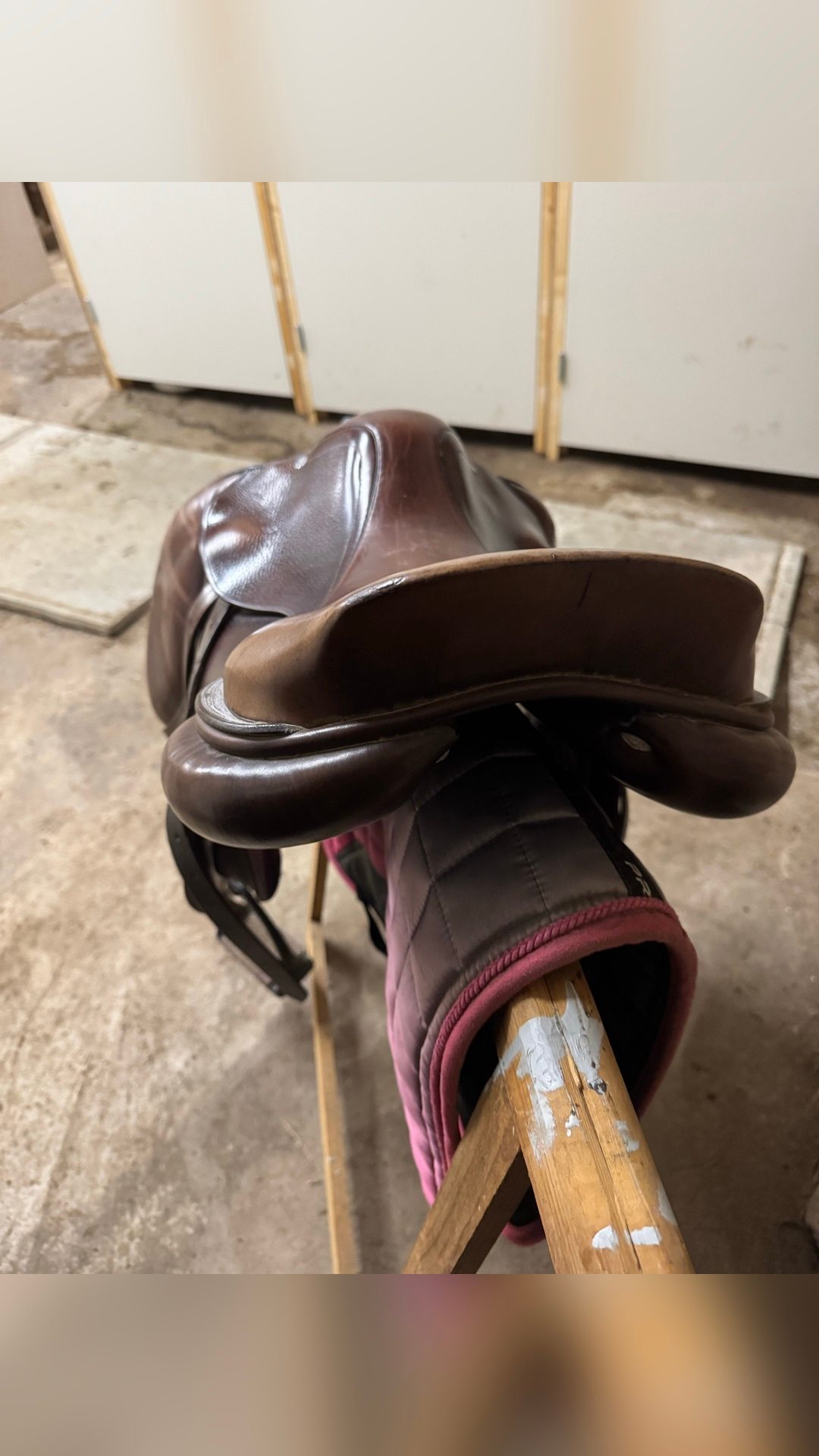 Selle mixte, média 5