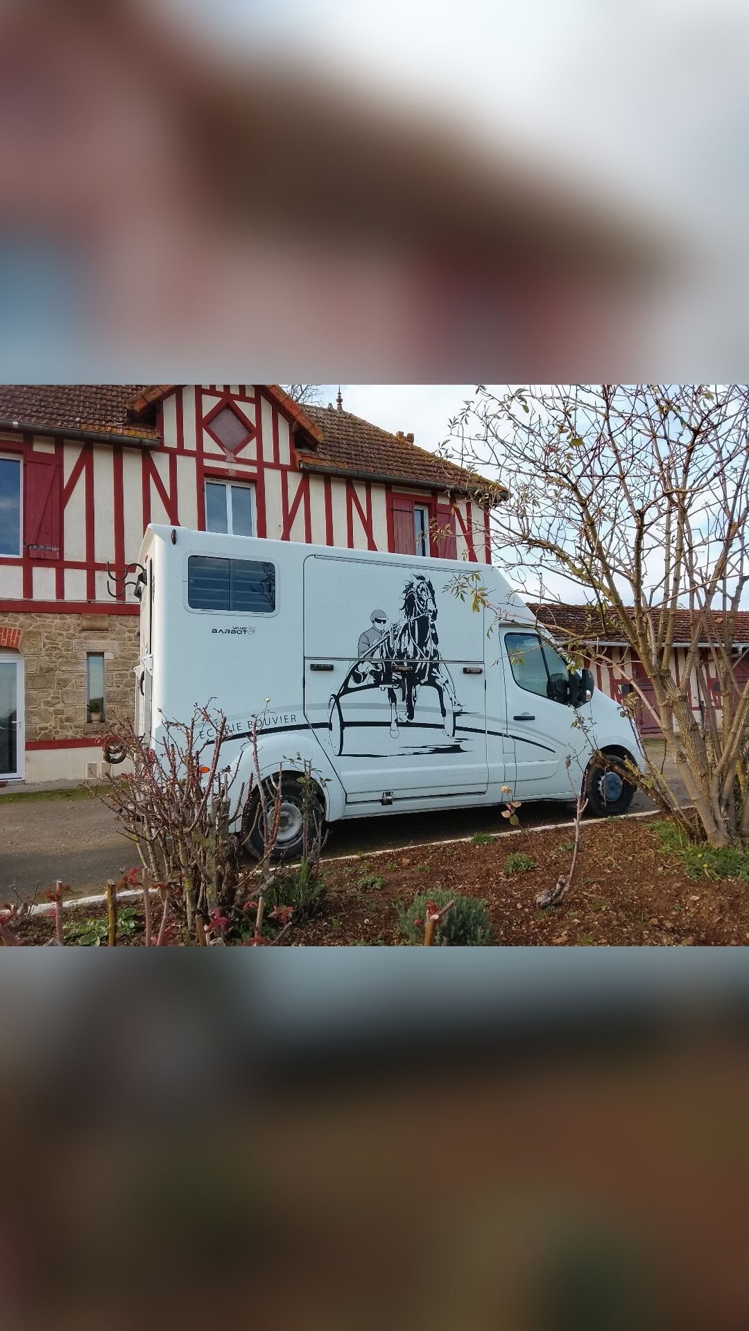 Transport chevaux, média 2