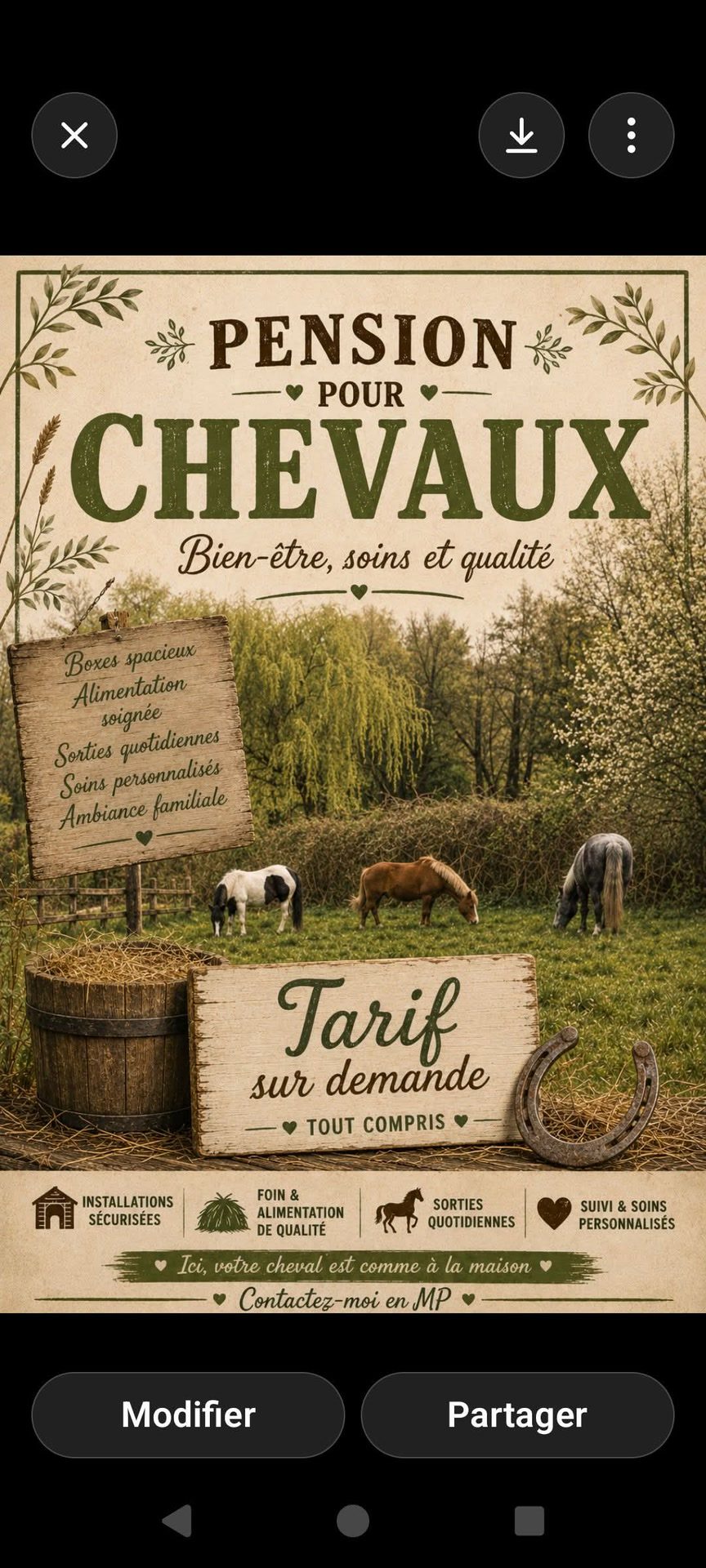 Pension chevaux, média 2