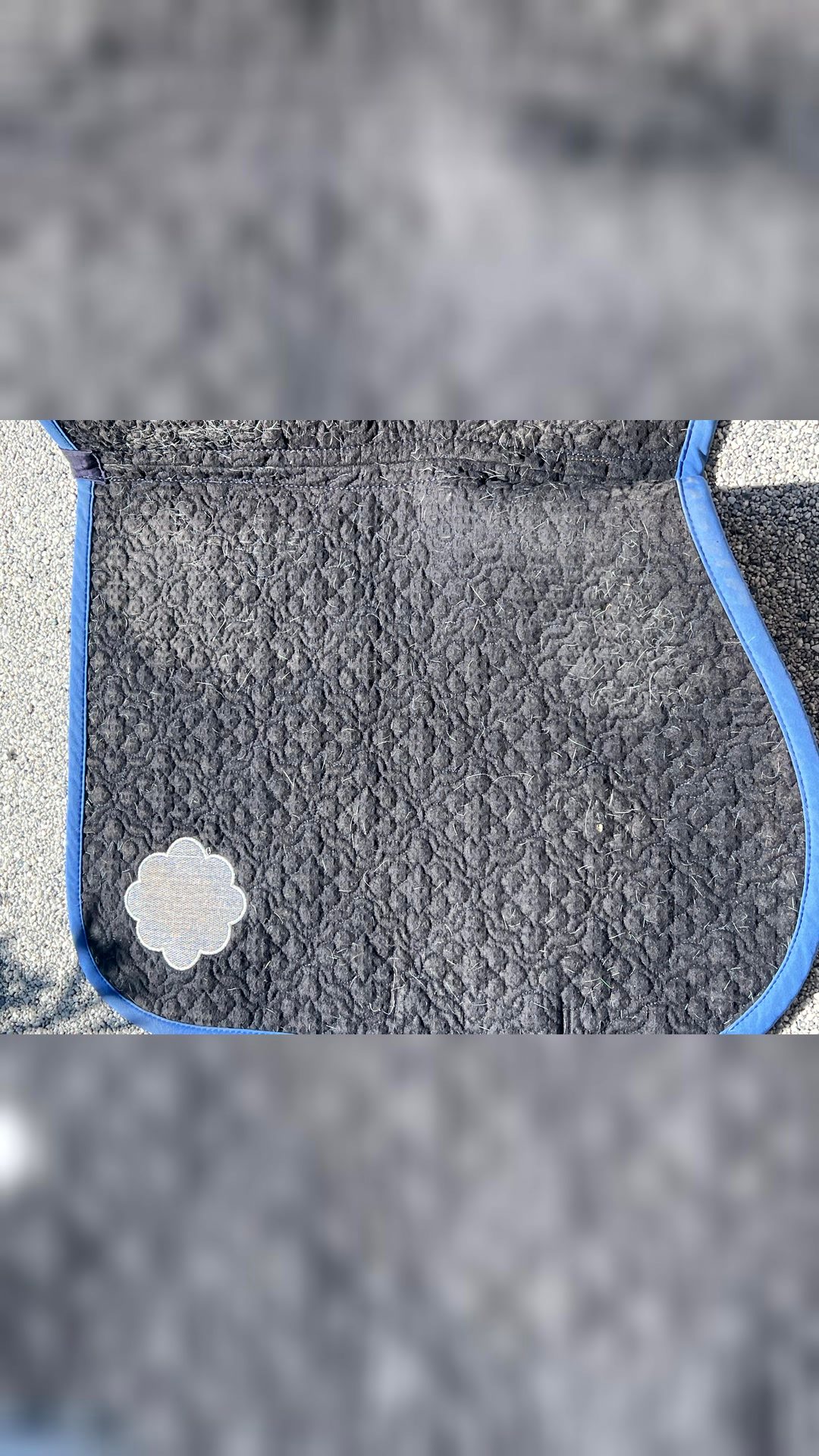 Tapis harcour, média 7