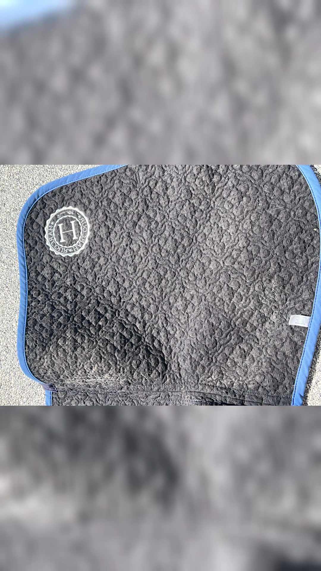 Tapis harcour, média 8