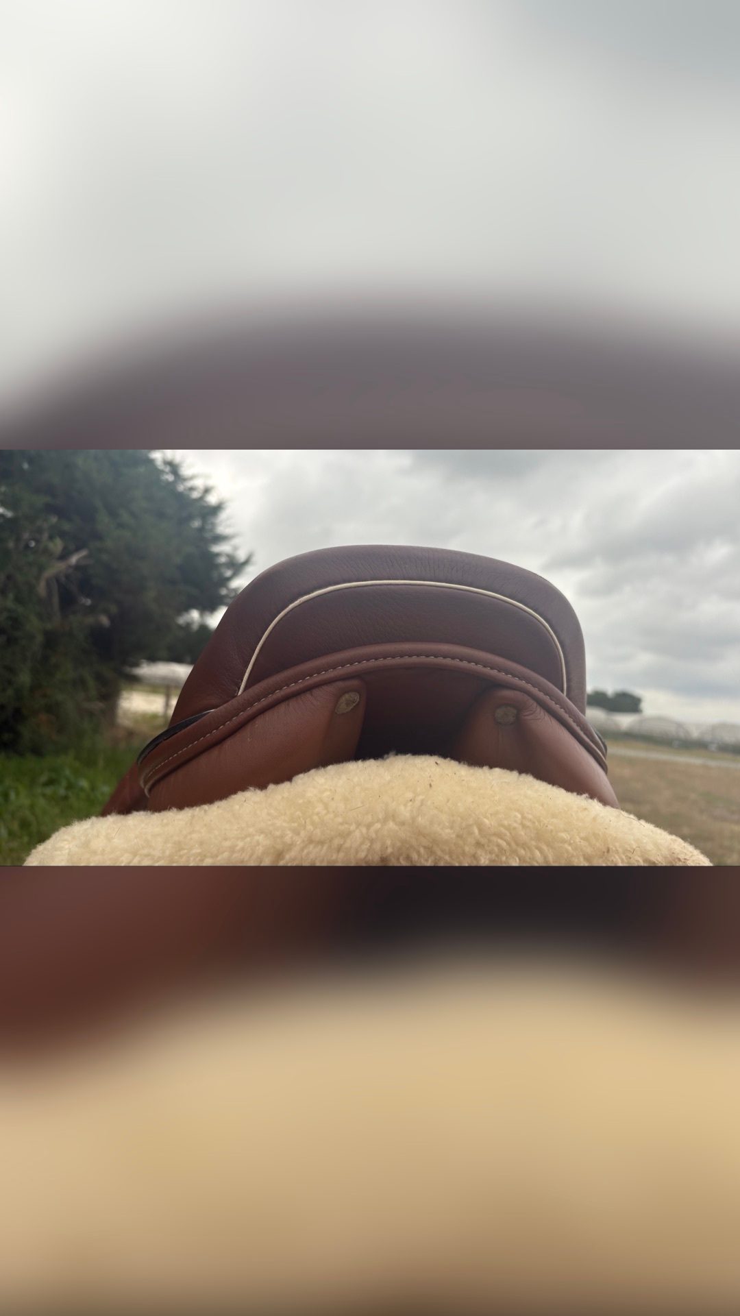 Selle Equip’horse mixte 17,5’ NÉGOCIABLE, média 3