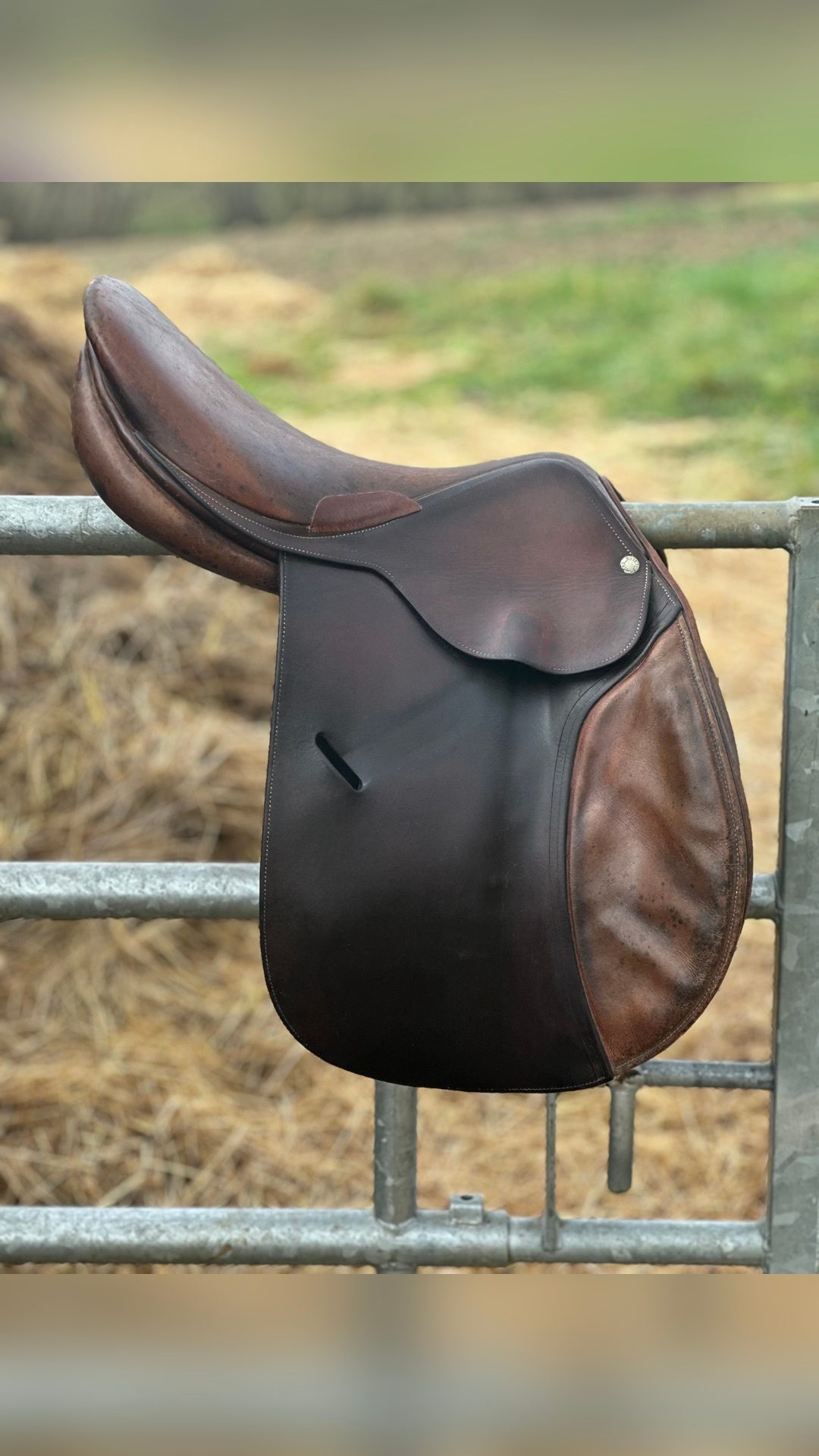 Selle mixte, média 2