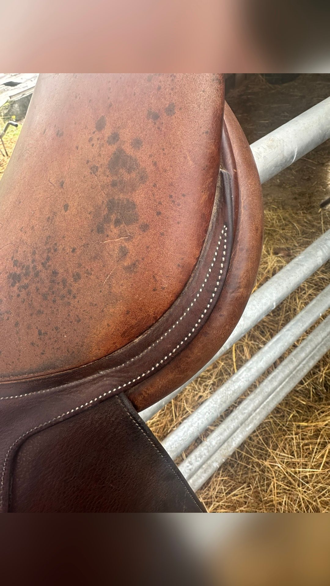 Selle mixte, média 4