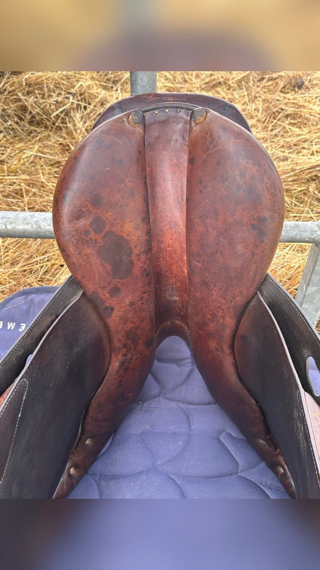 Selle mixte, média 5