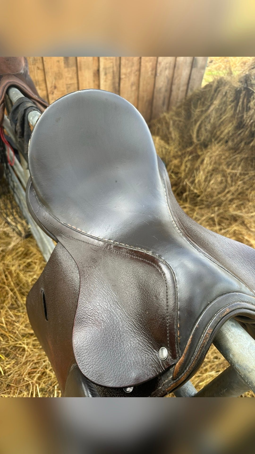 Selle mixte, média 3