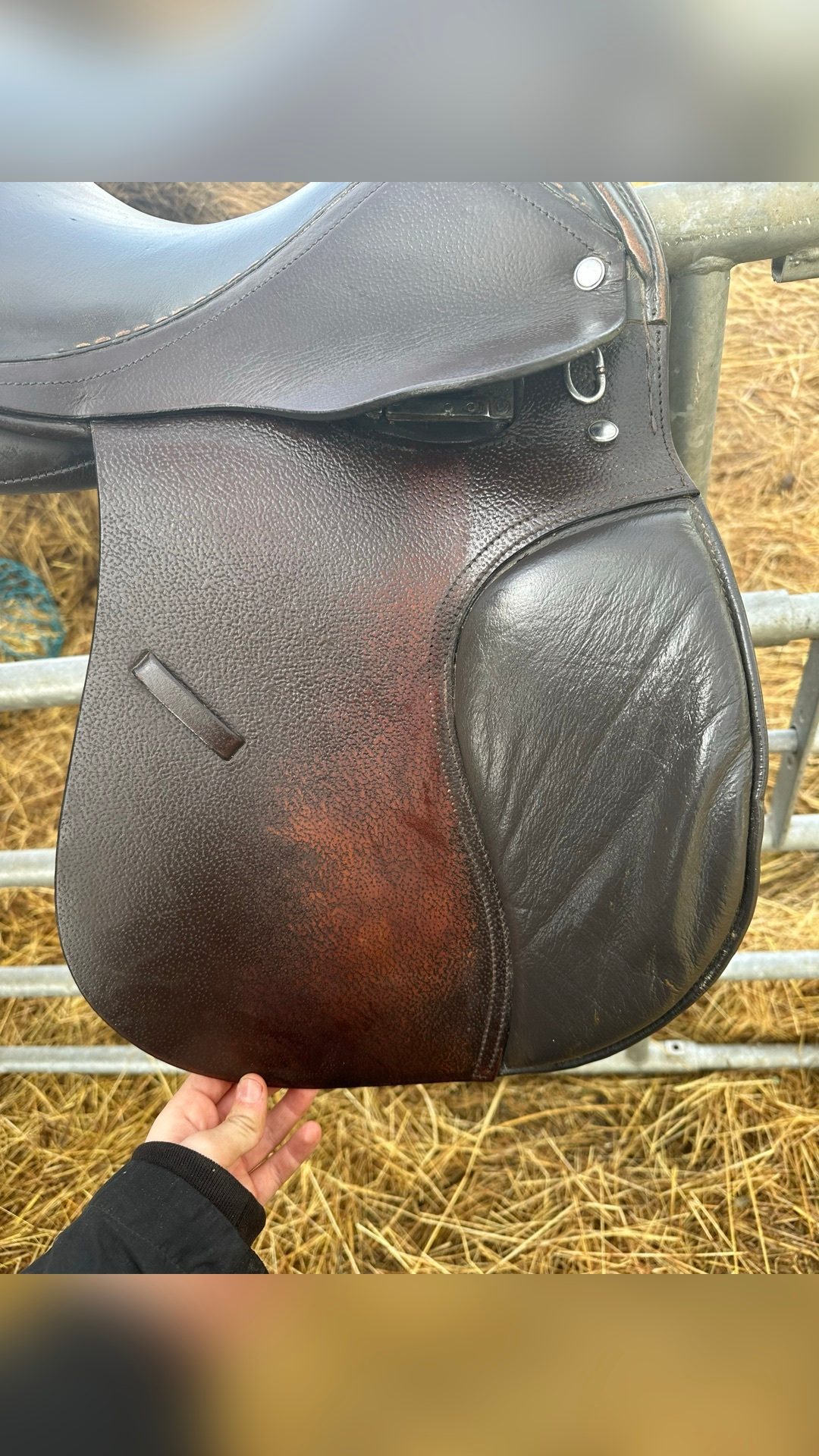 Selle mixte, média 5