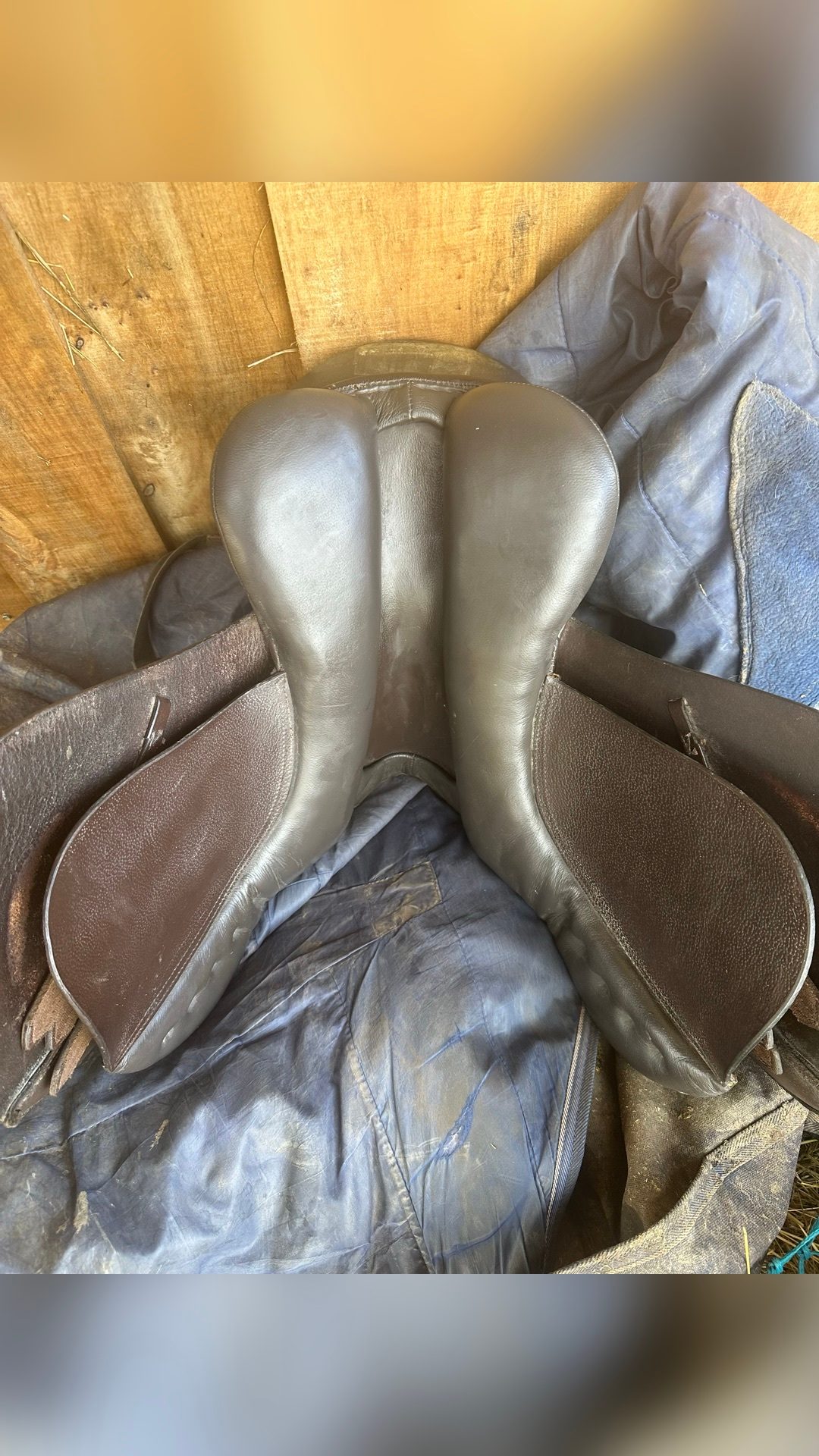 Selle mixte, média 7