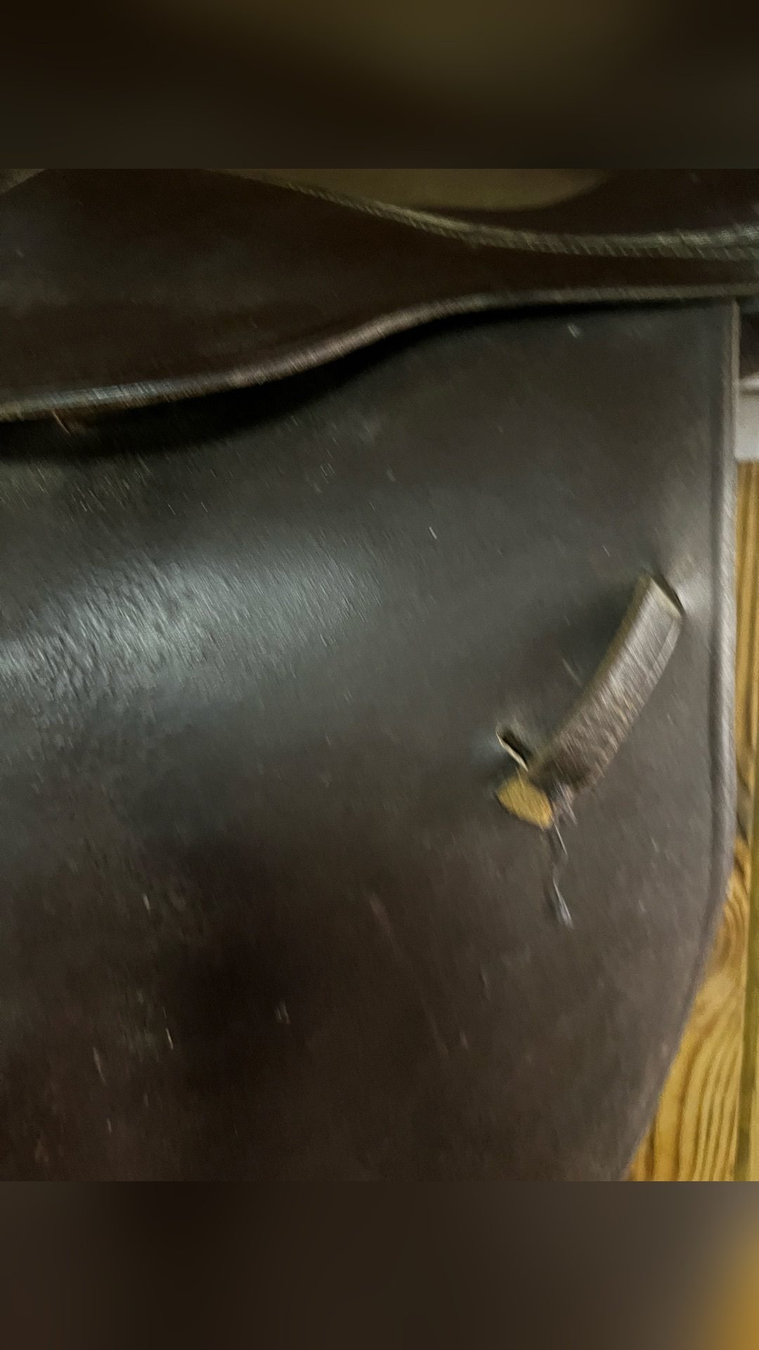 Selle d’équitation, média 2