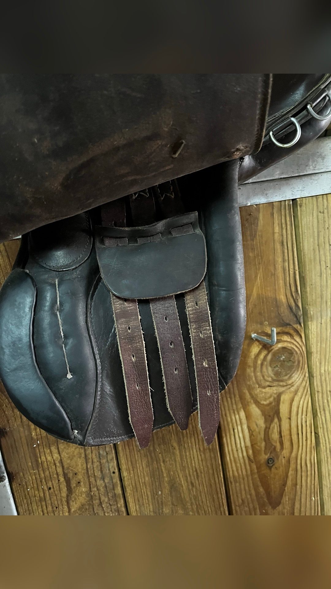 Selle d’équitation, média 3