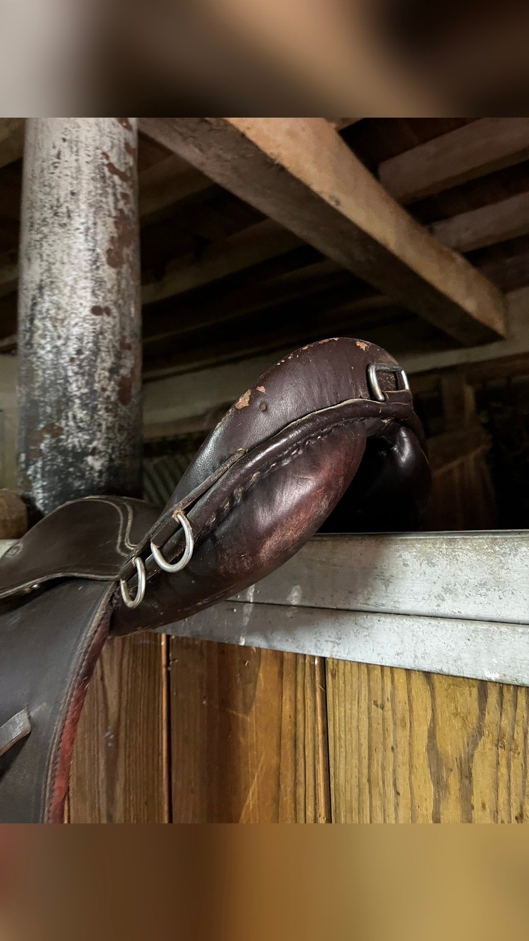 Selle d’équitation, média 4