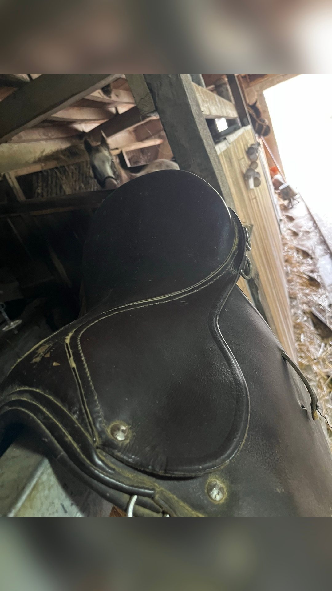 Selle d’équitation, média 5