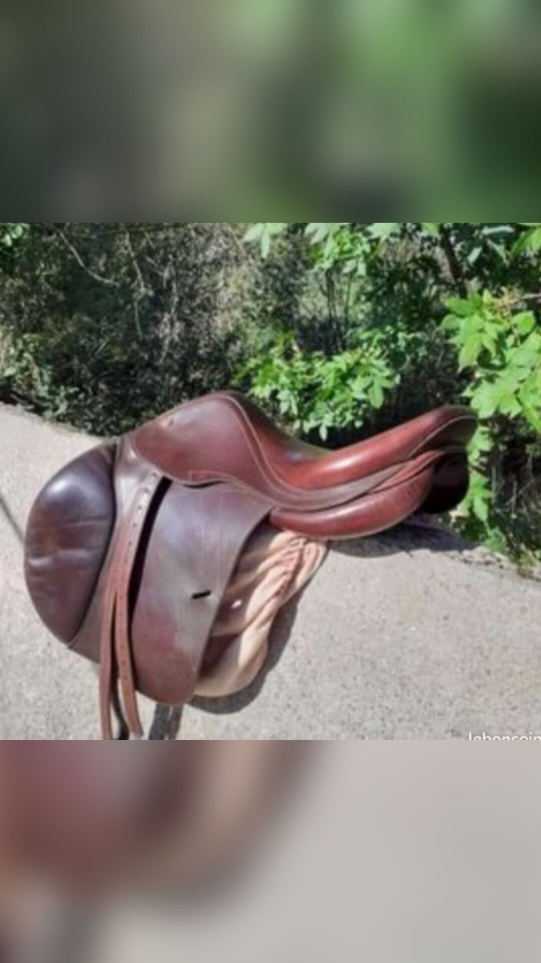 Selle de cheval, média 2