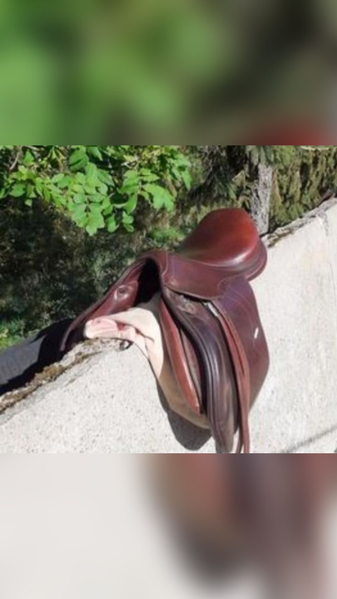 Selle de cheval, média 3