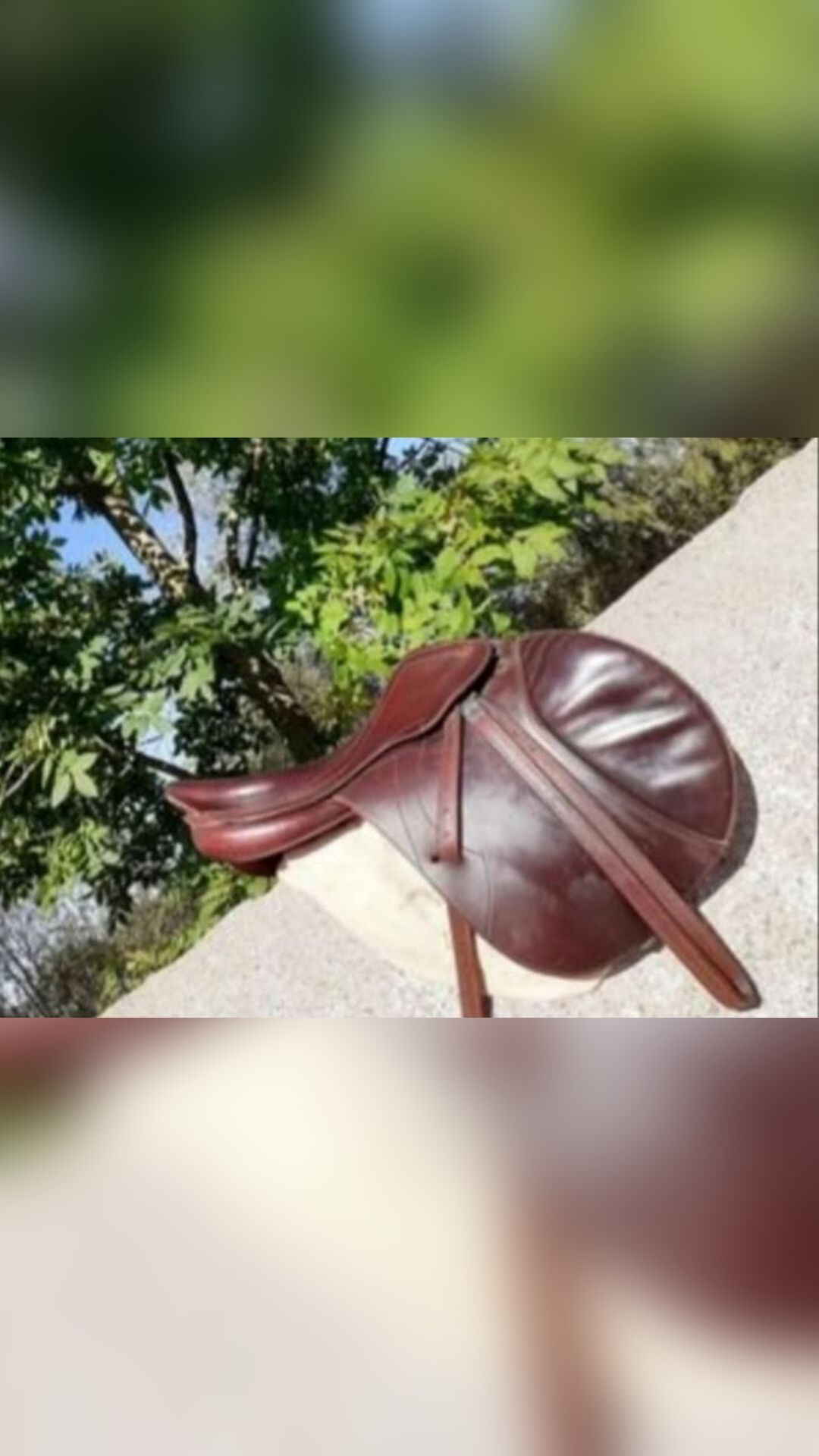 Selle de cheval, média 4