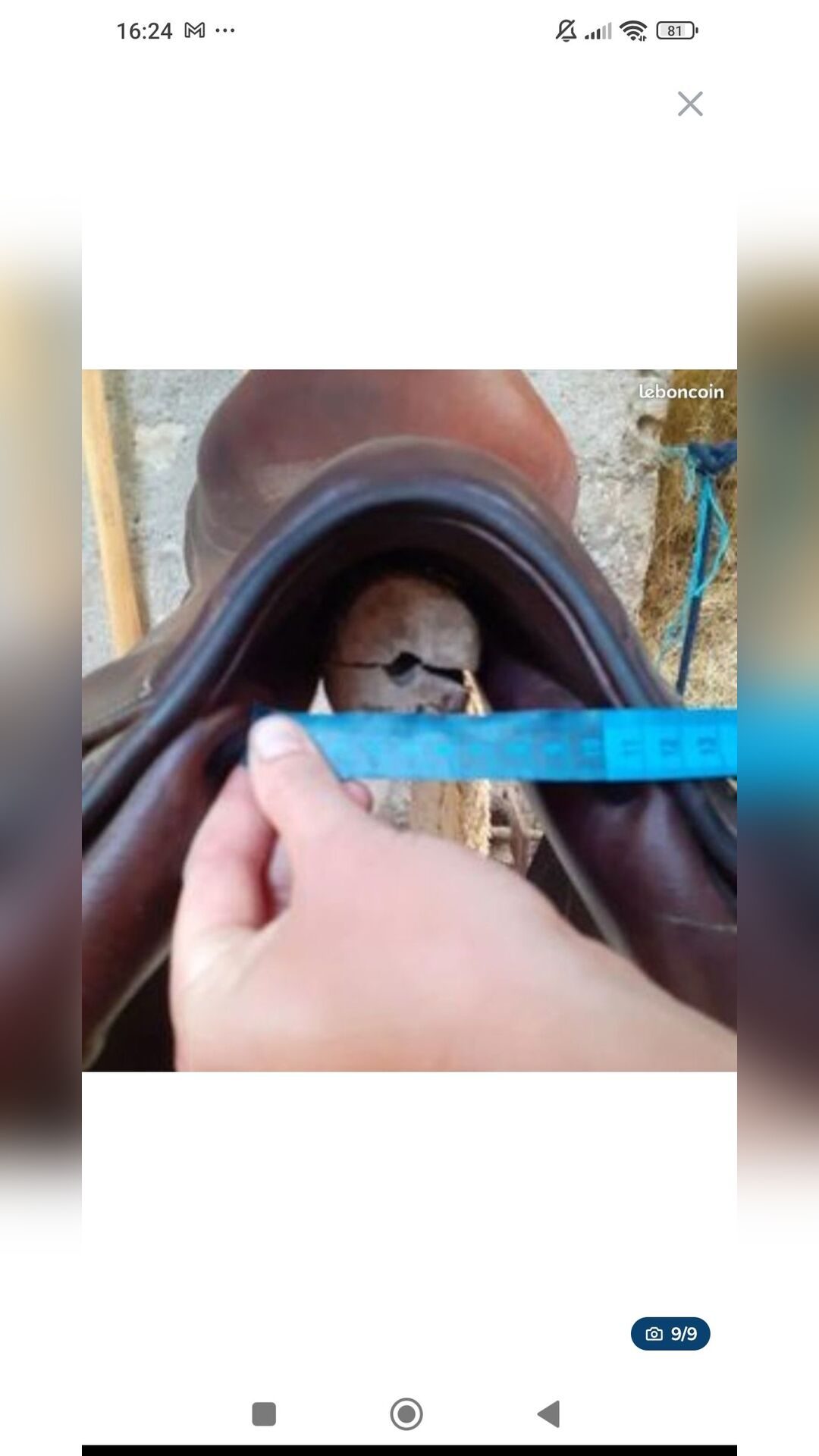 Selle de cheval, média 6