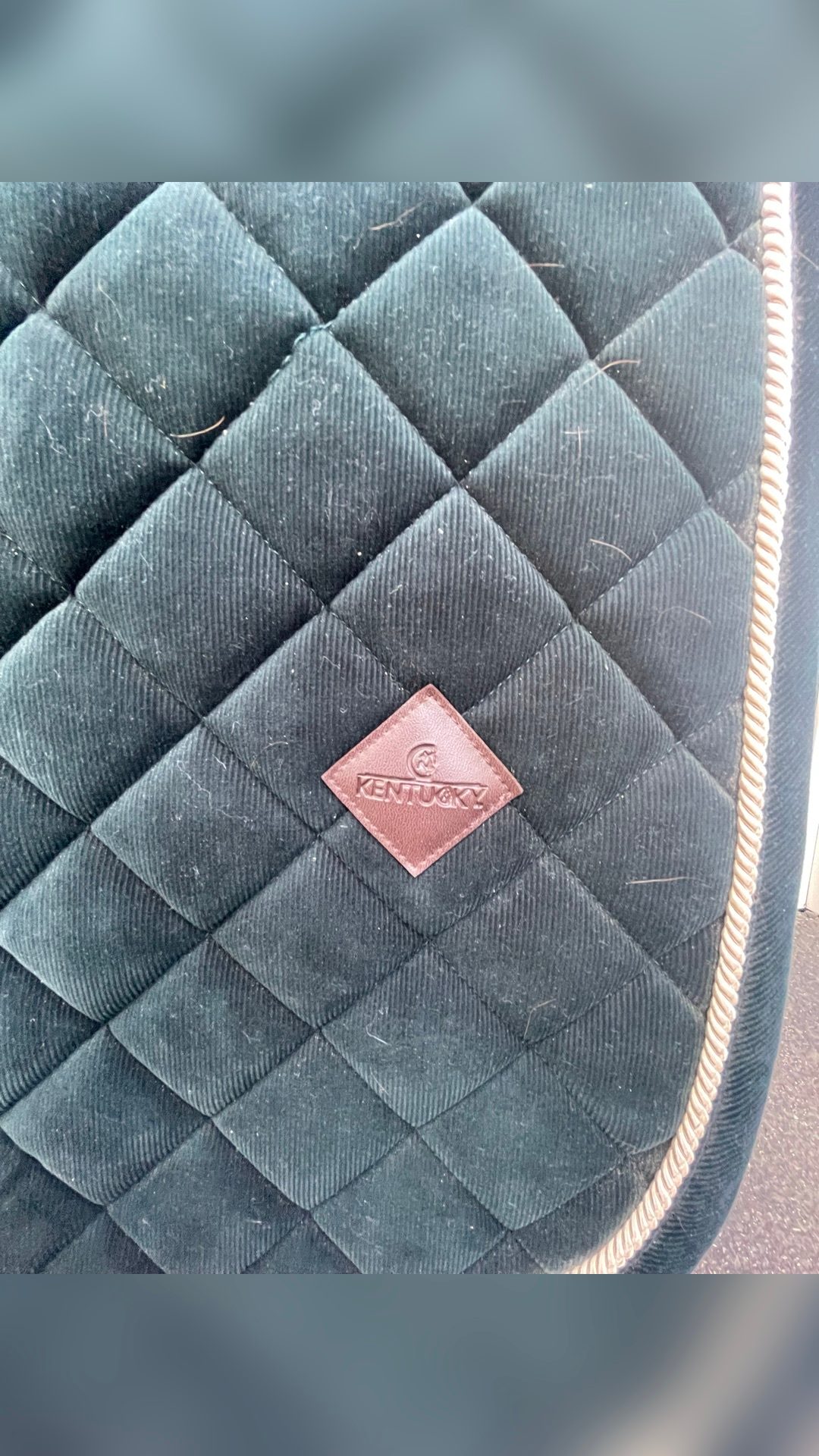 Tapis dressage Kentucky, média 2
