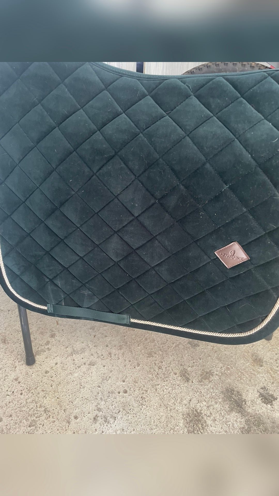 Tapis dressage Kentucky, média 4