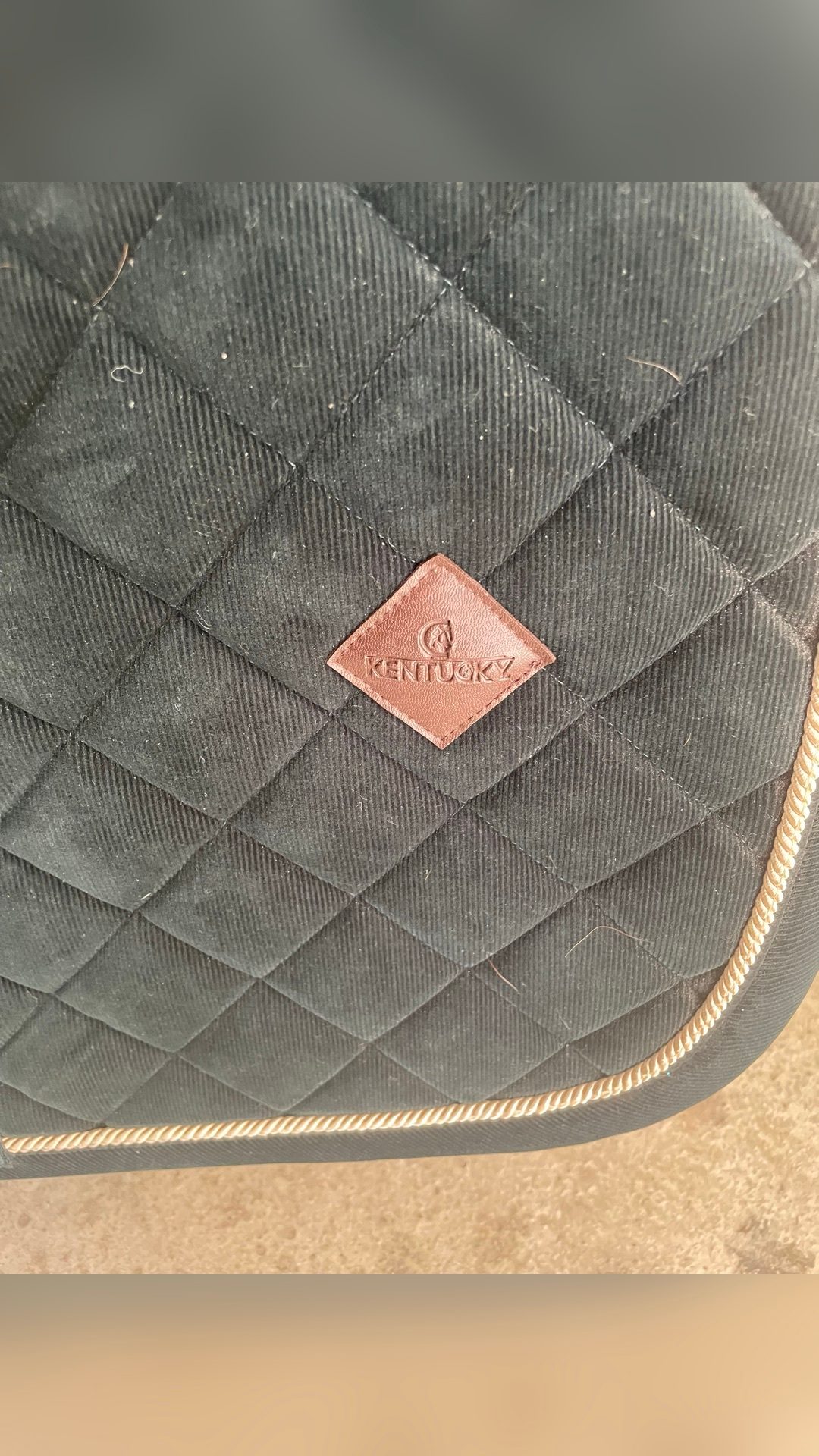 Tapis dressage Kentucky, média 5
