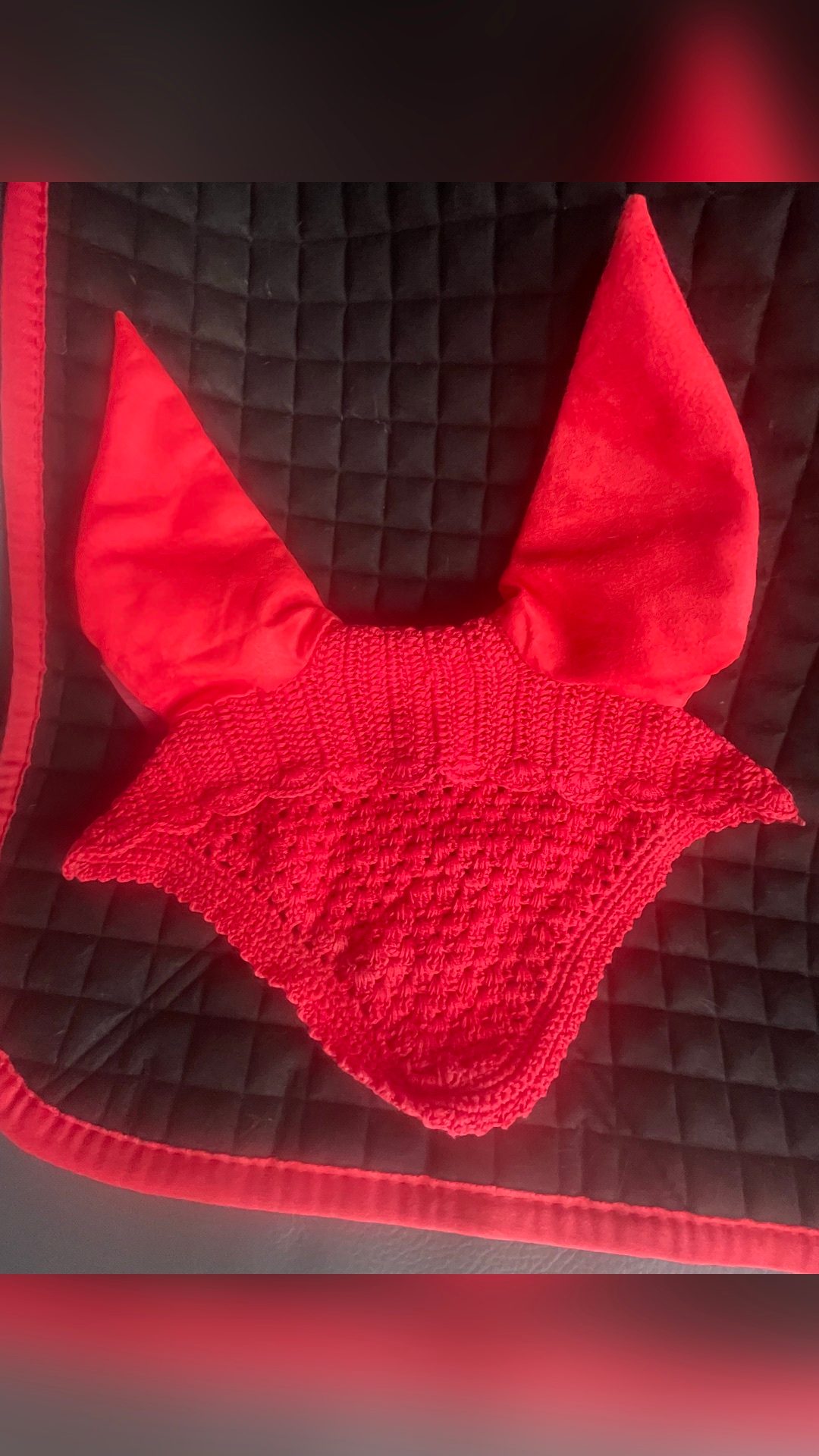 Ensemble dressage Lemieux, média 5