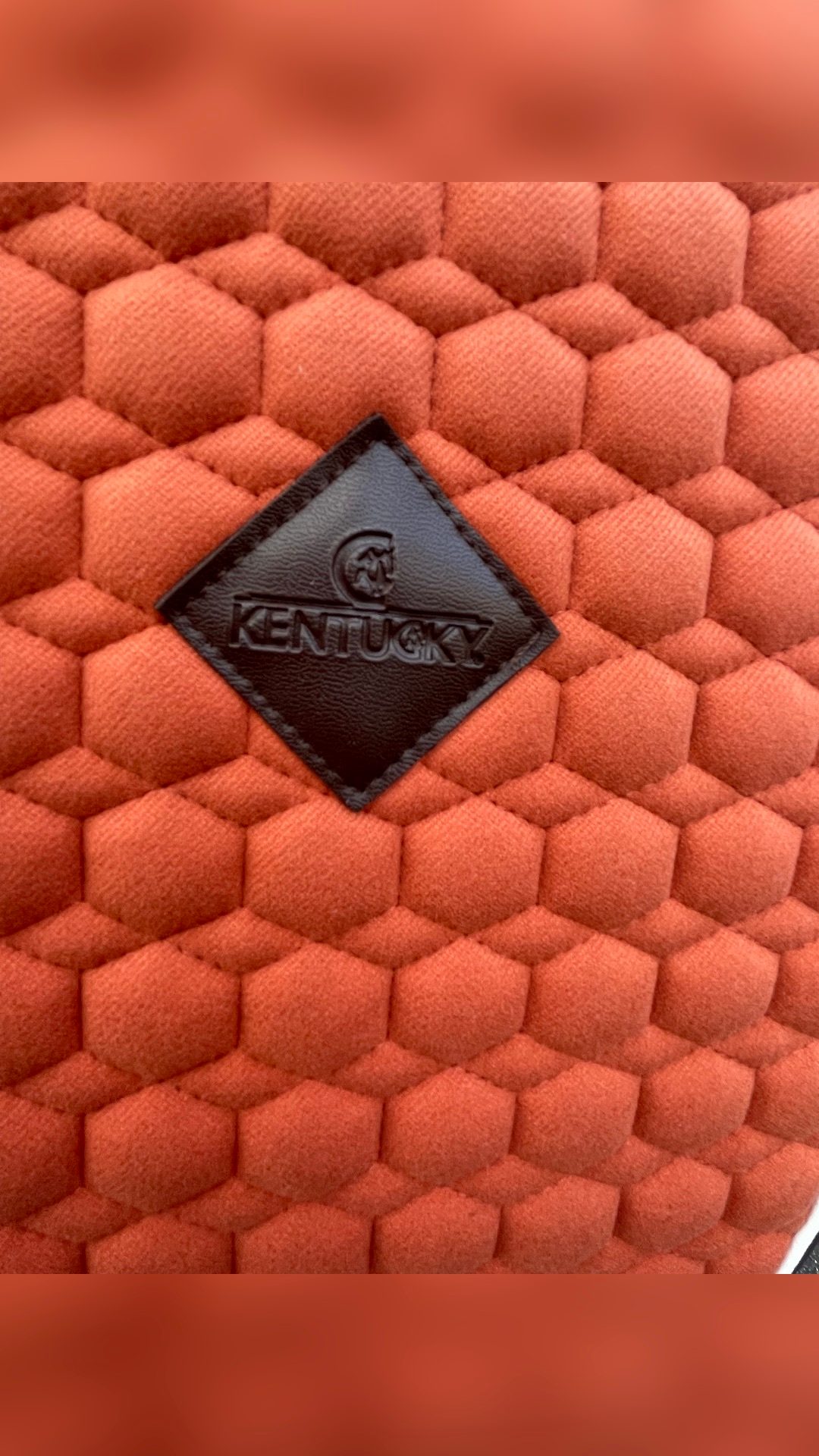 Tapis dressage Kentucky, média 3