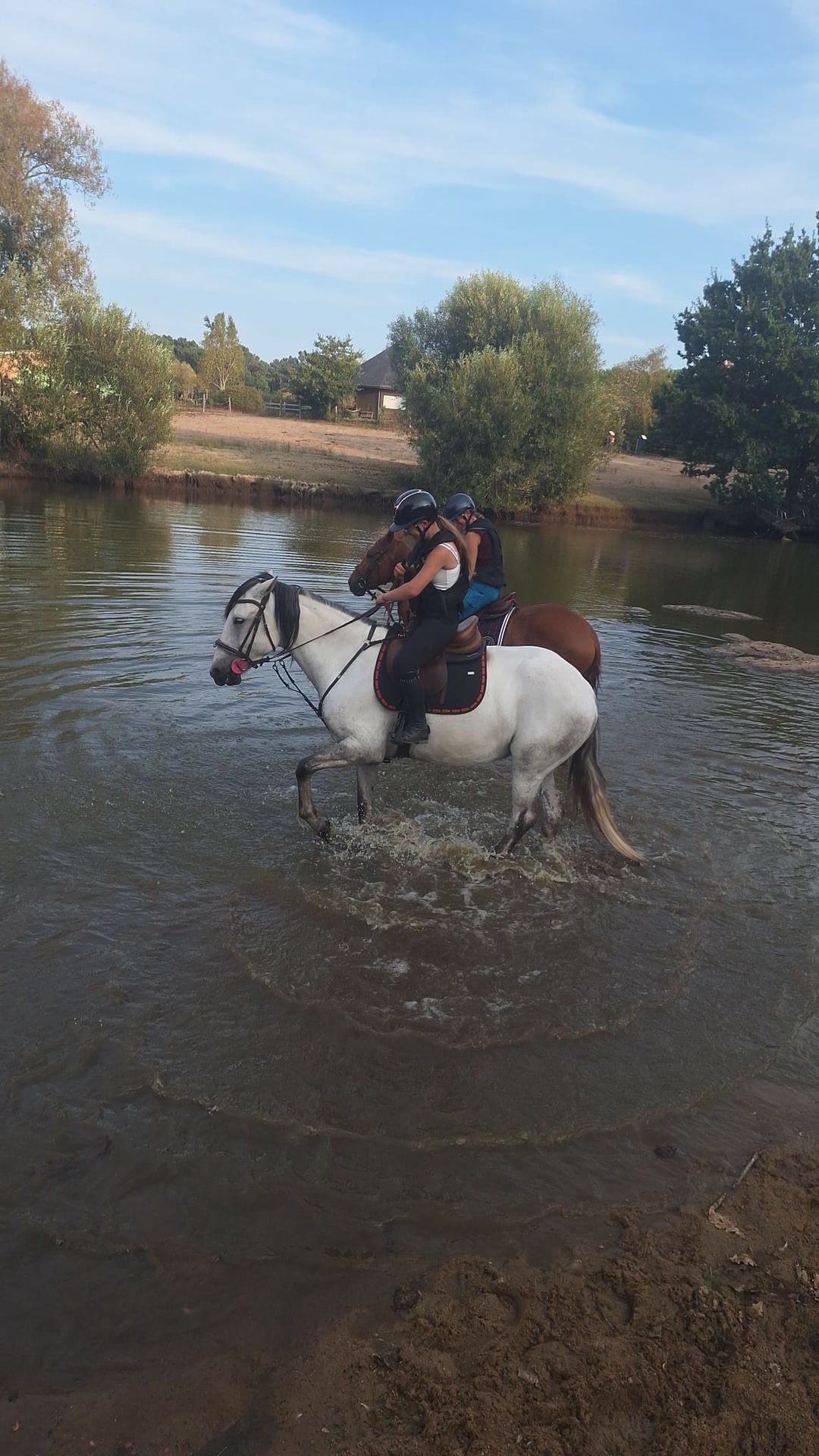 QUICA (PRT), média 2