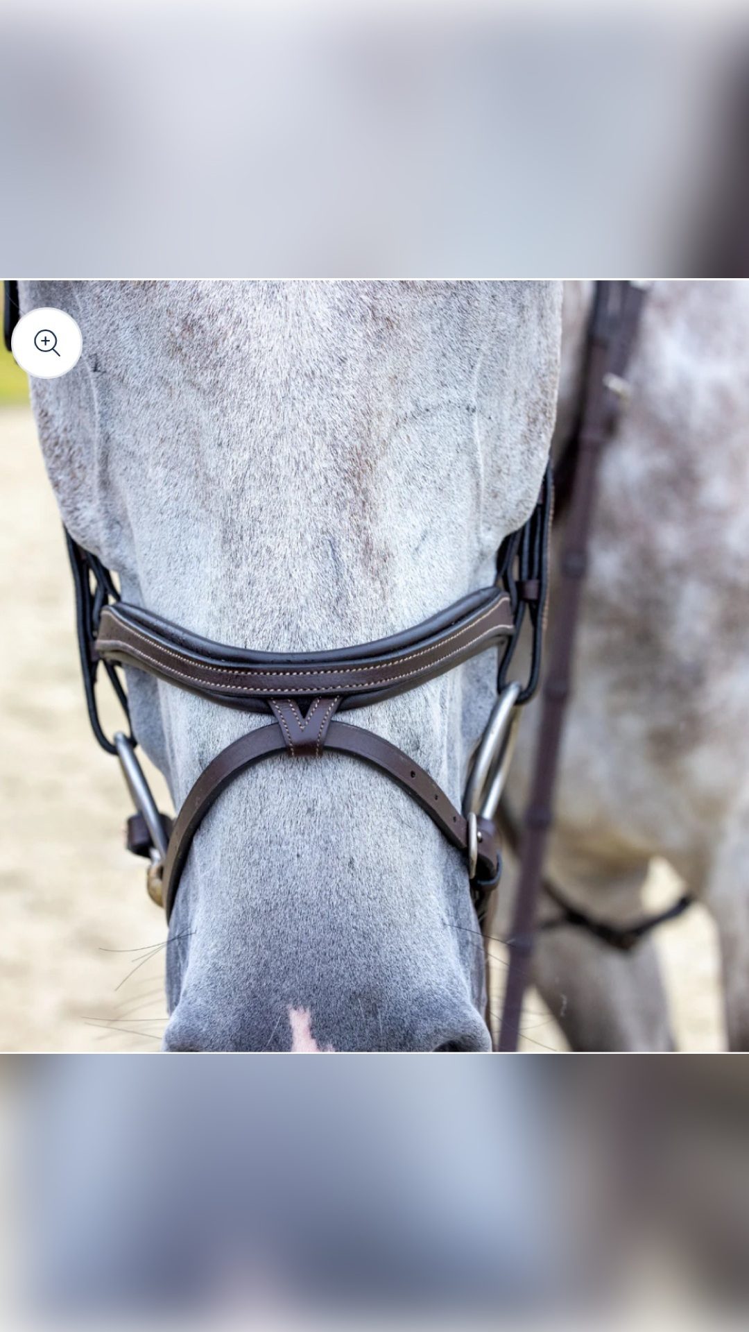 Bridon cheval noir, média 2
