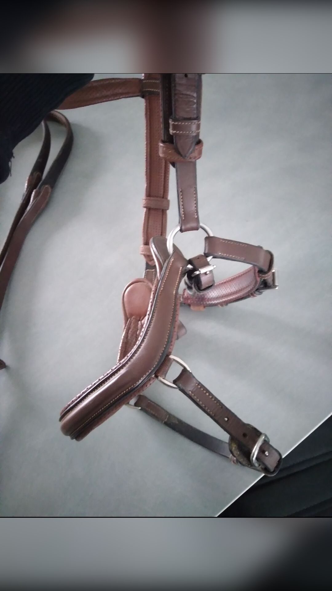 Bridon Jump'in sans rênes (taille cob), média 4