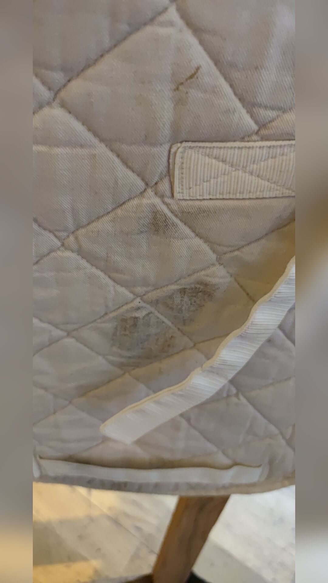 Tapis de selle, média 2