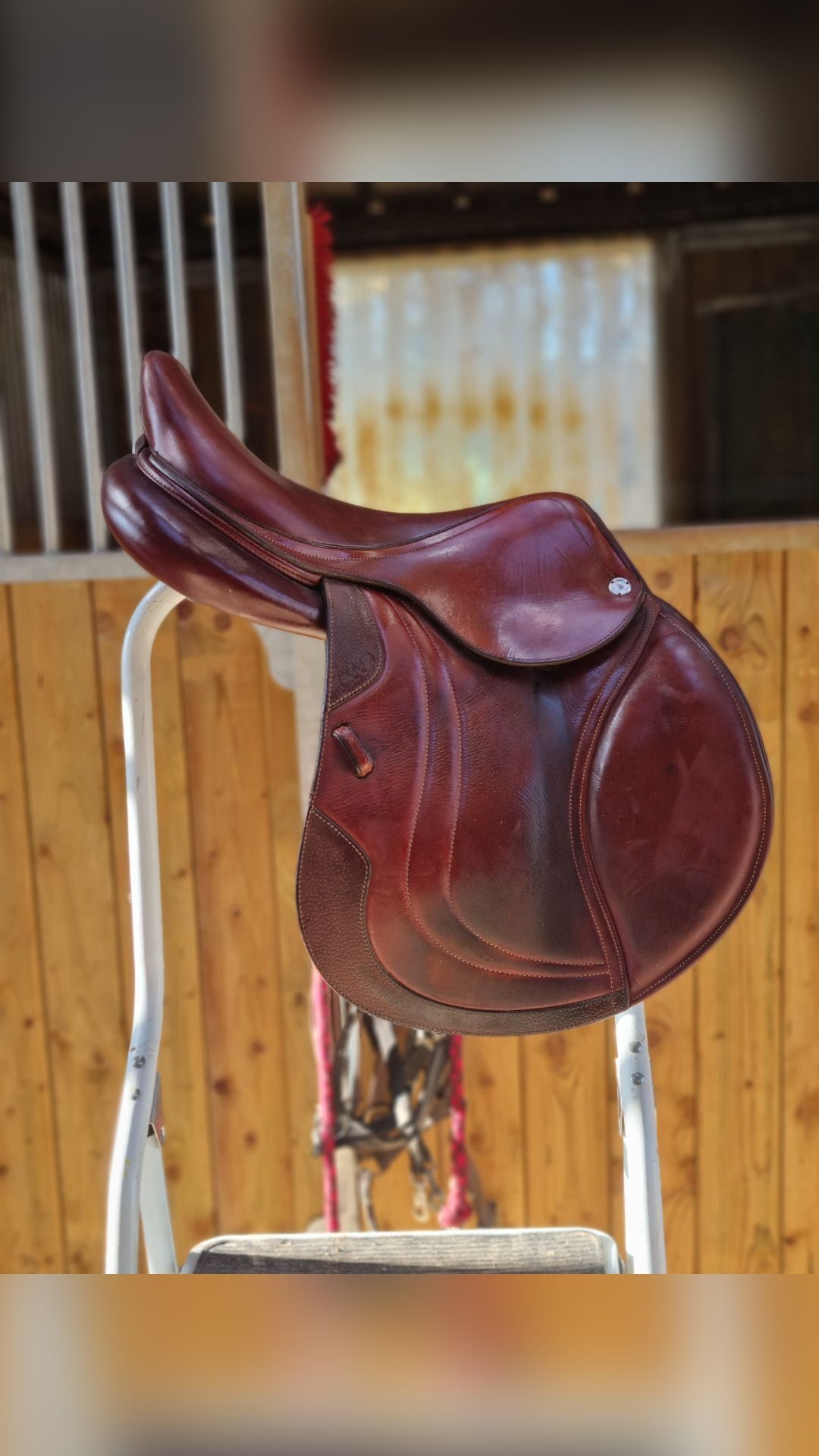 Selle CWD, média 3