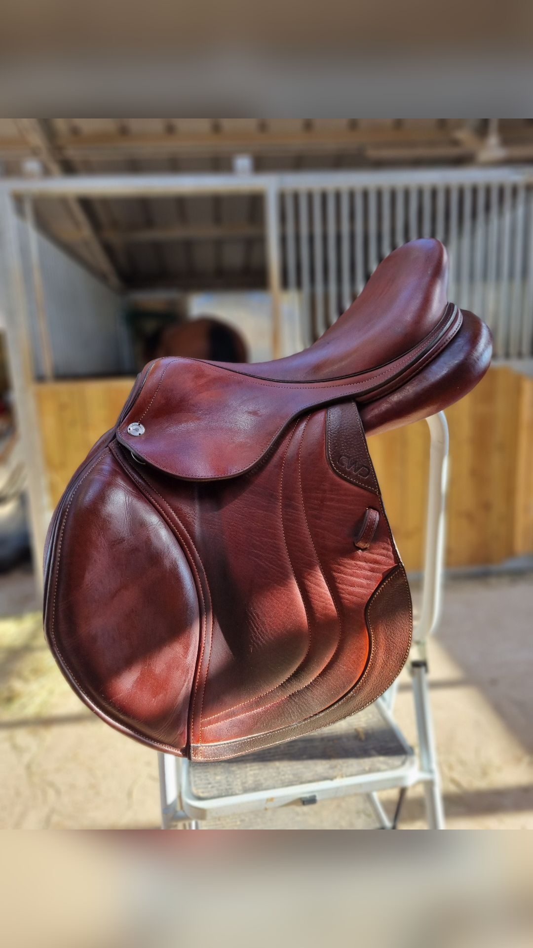 Selle CWD, média 4