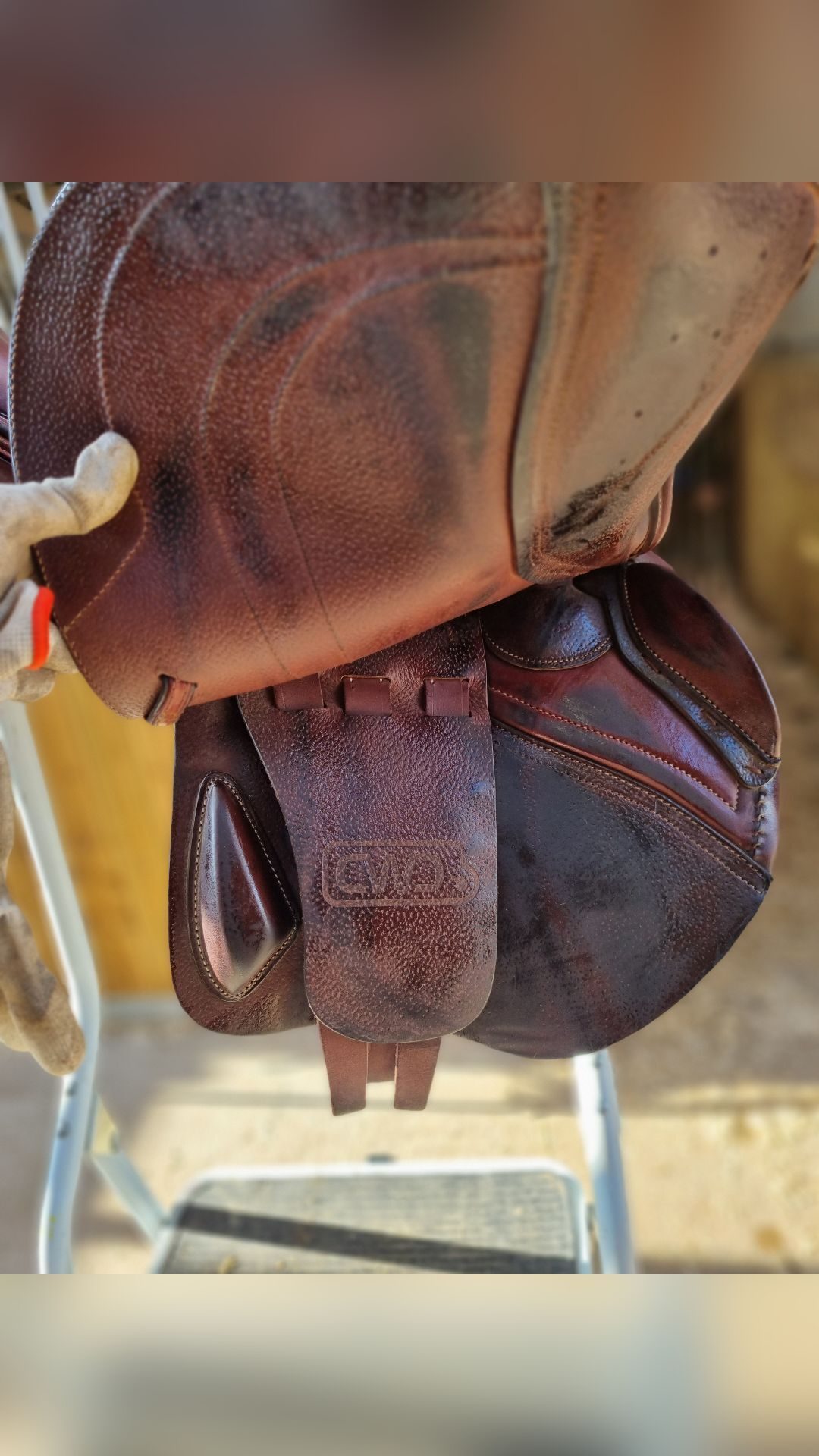 Selle CWD, média 7