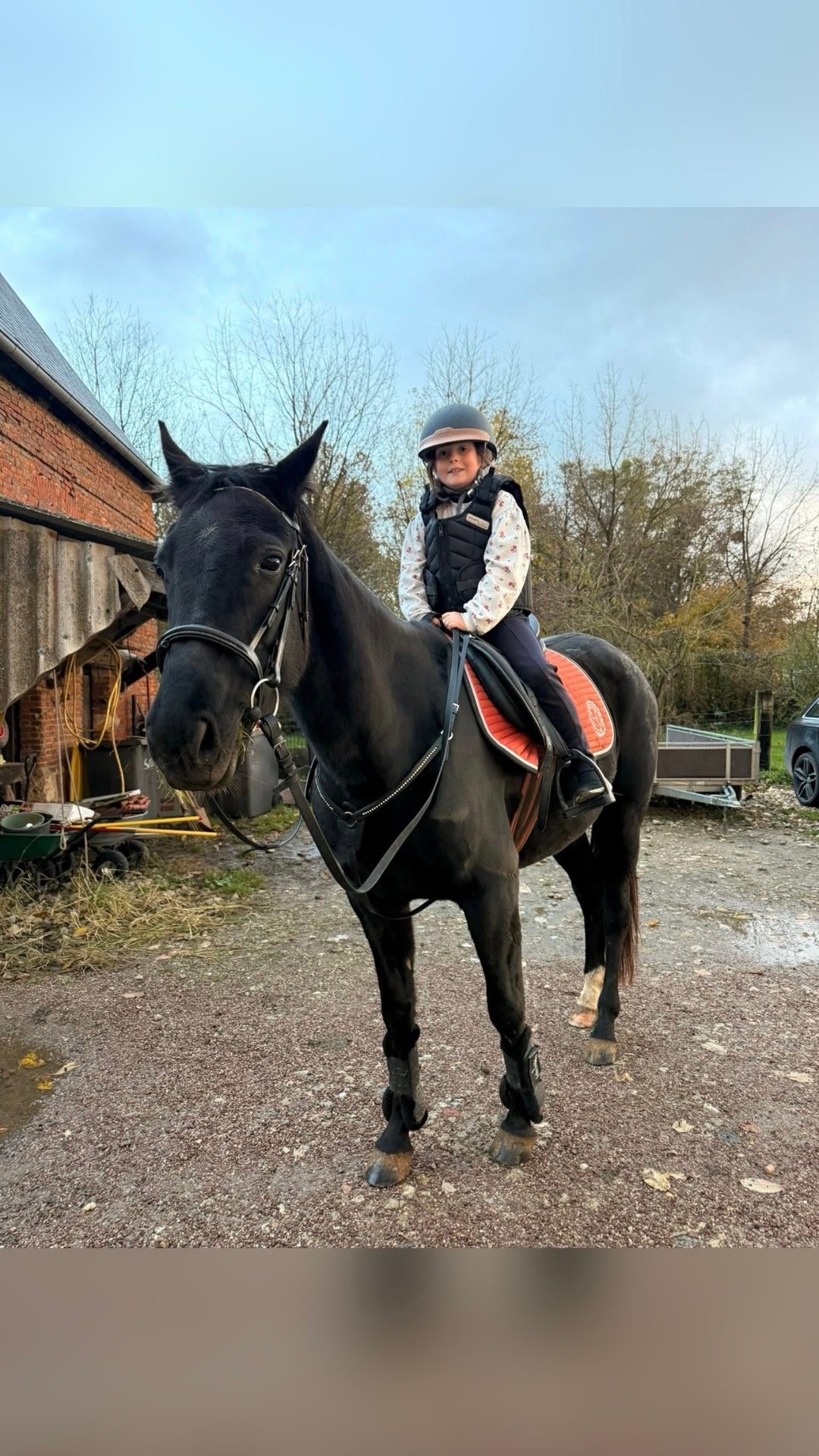 KAROLINE, média 4