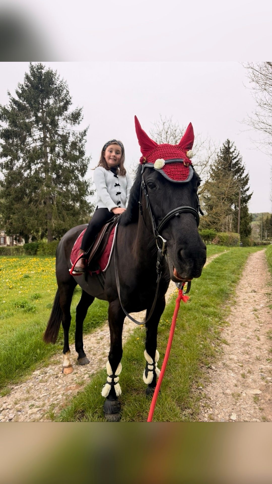 KAROLINE, média 7
