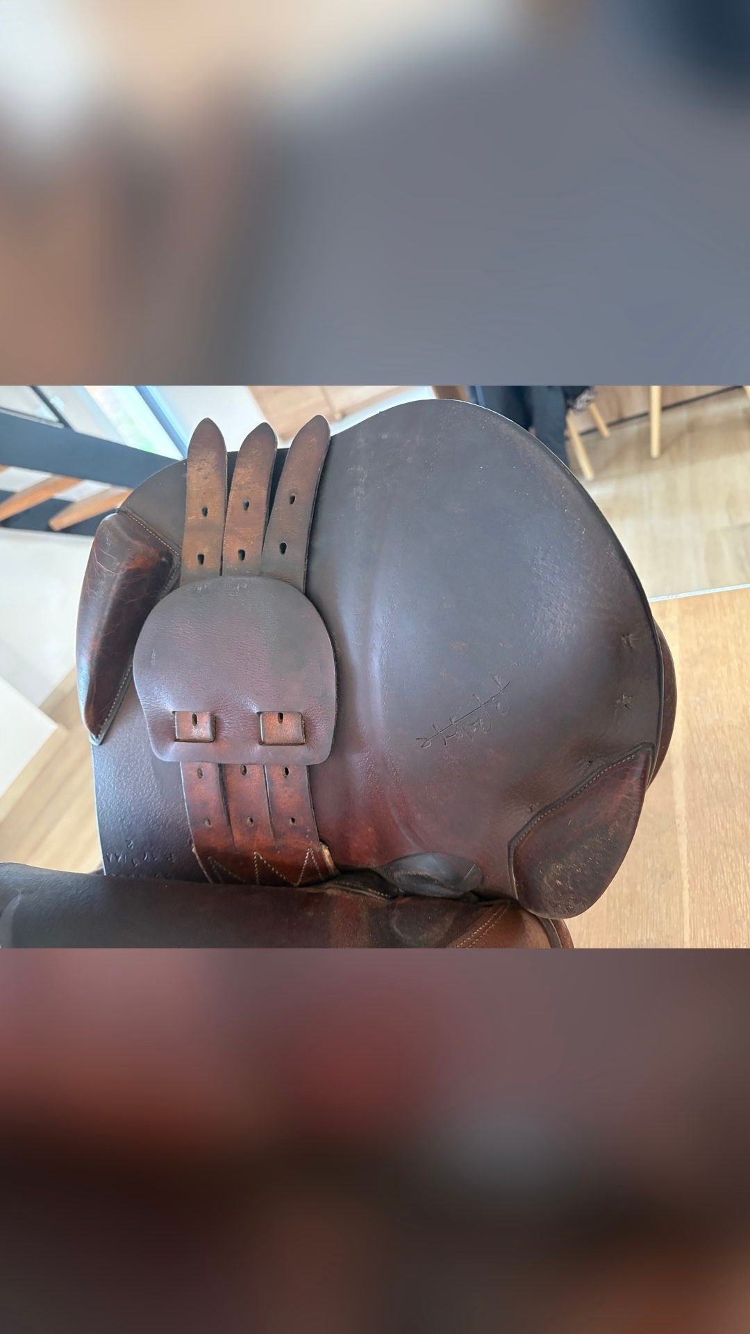 Selle, média 5