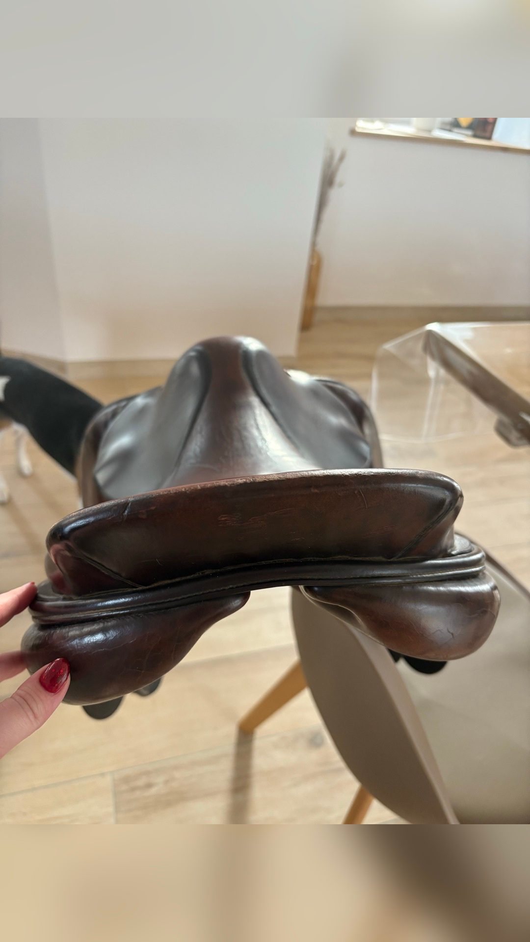 Selle, média 8