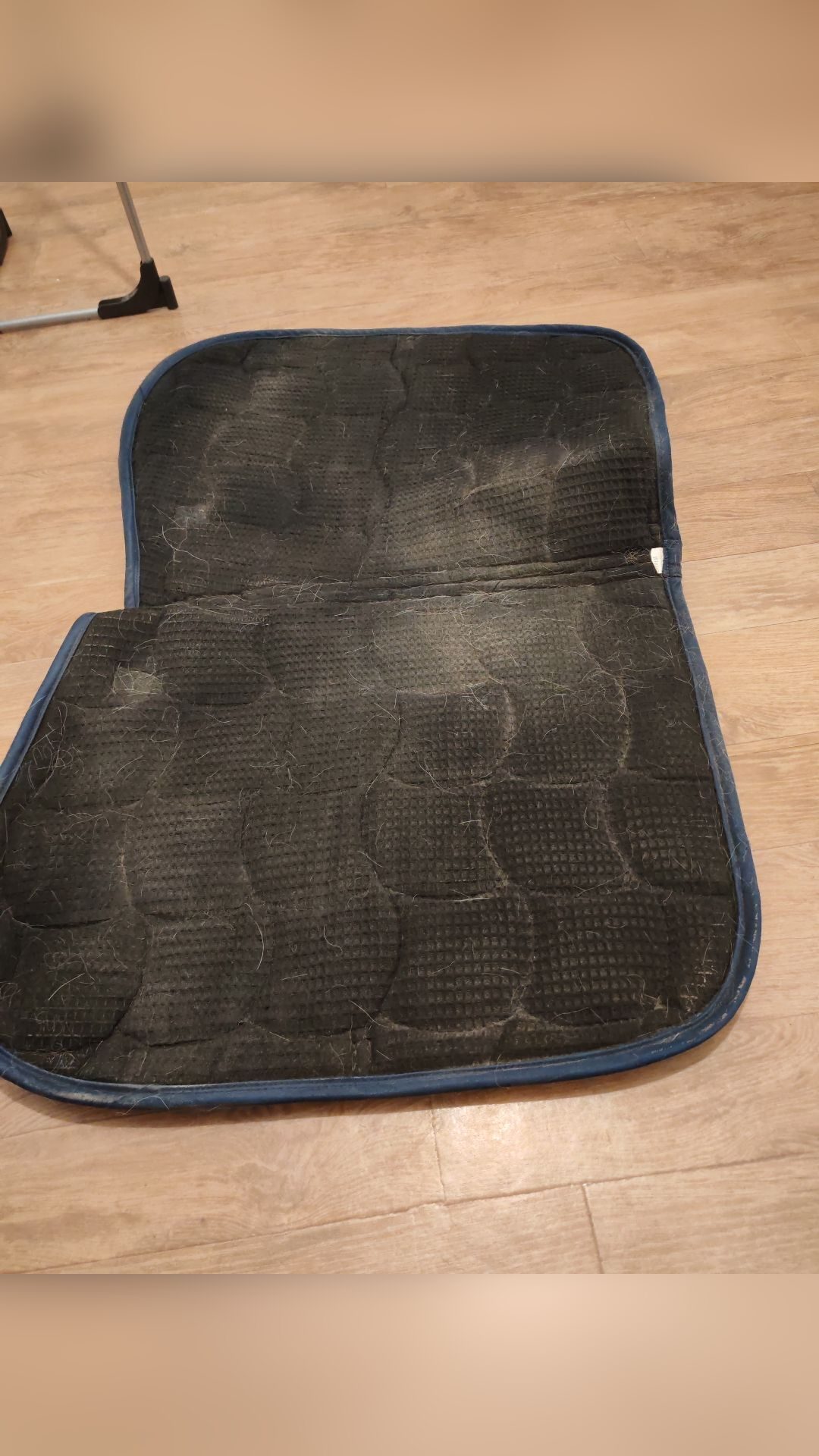 Tapis Equithème, média 2
