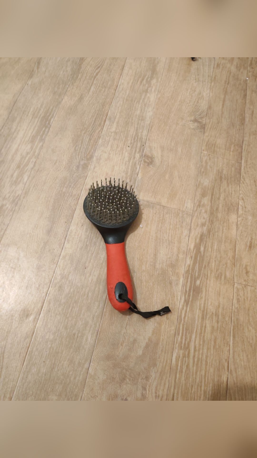 Lots de brosse, média 3