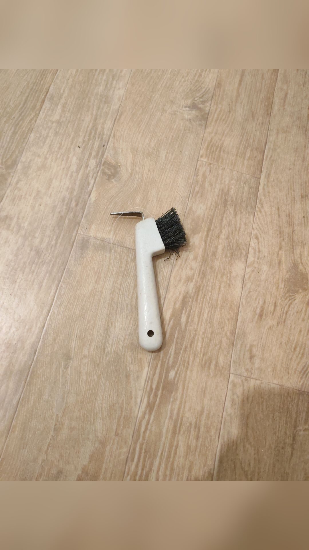 Lots de brosse, média 5