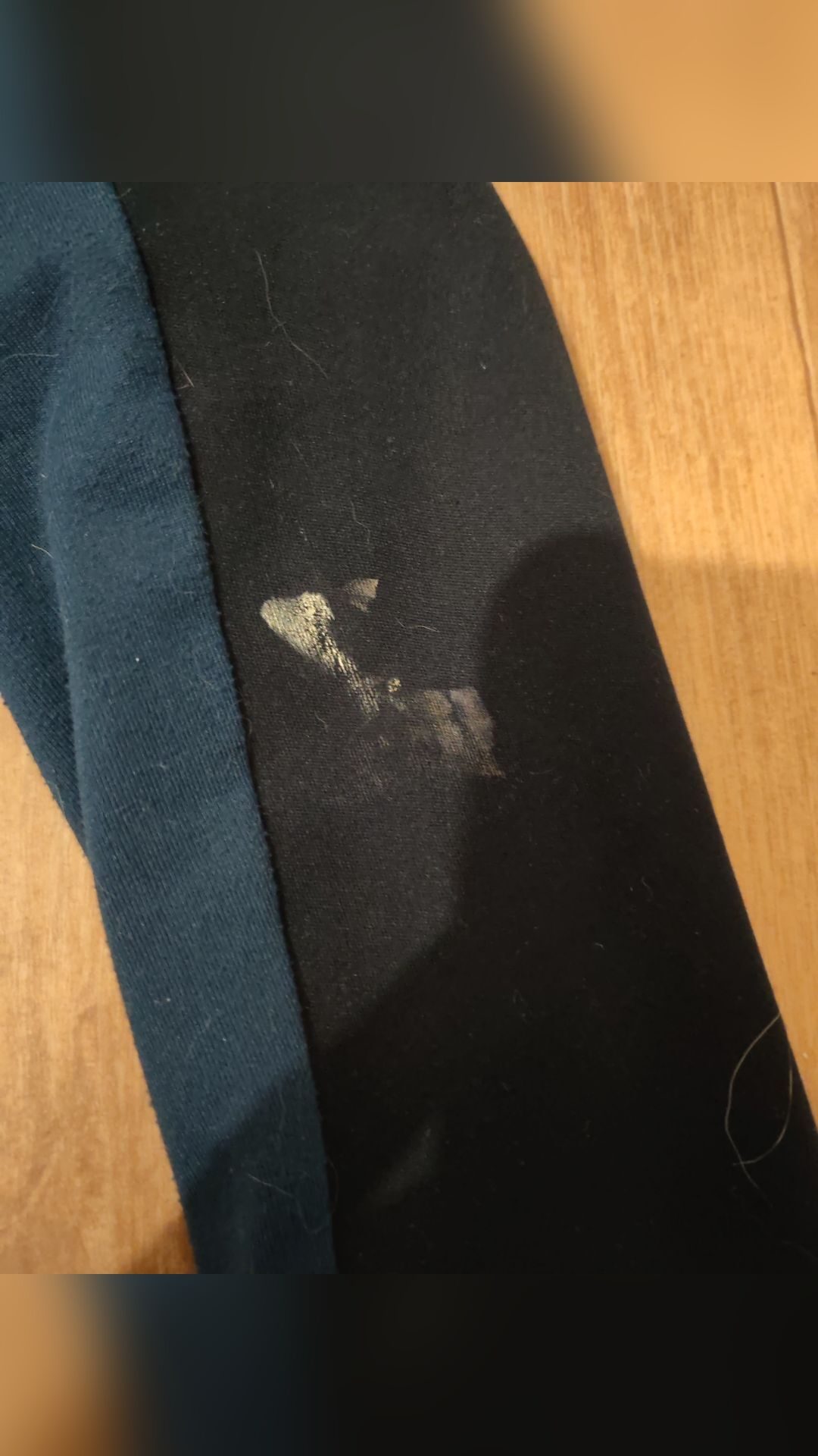 Veste et pantalon de concours, média 3