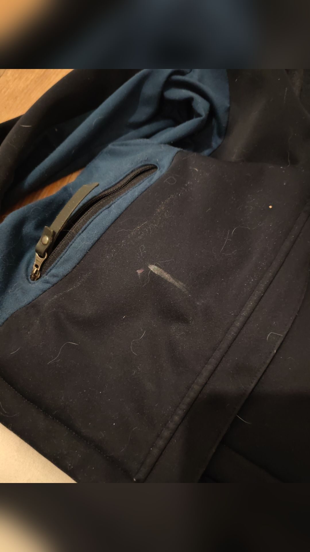 Veste et pantalon de concours, média 4