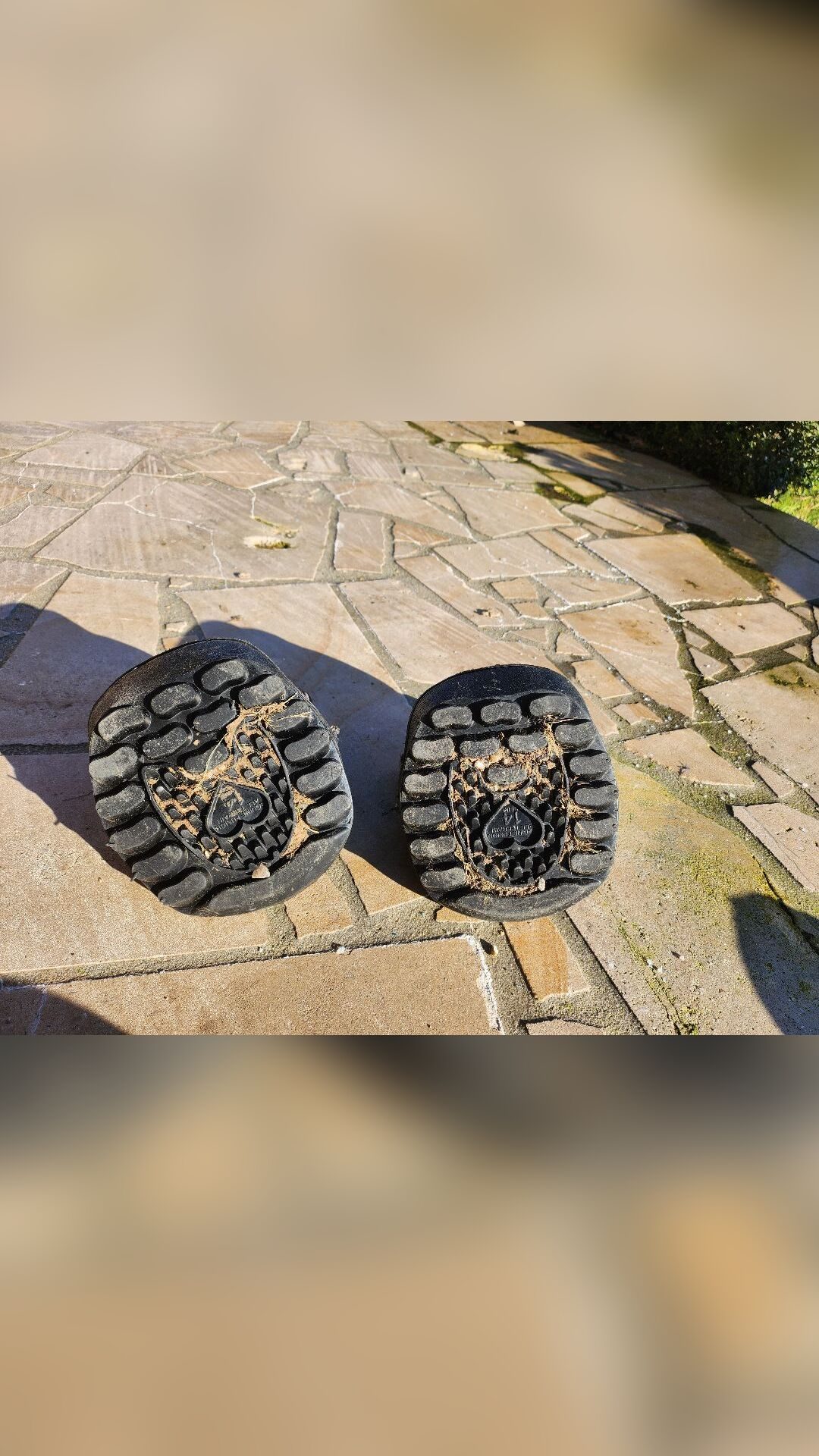 Hipposandales Sneaker taille 4 rondes, média 5