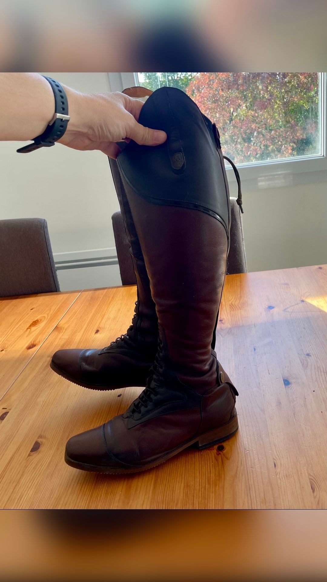 Bottes Mountain Horse taille 39, média 4
