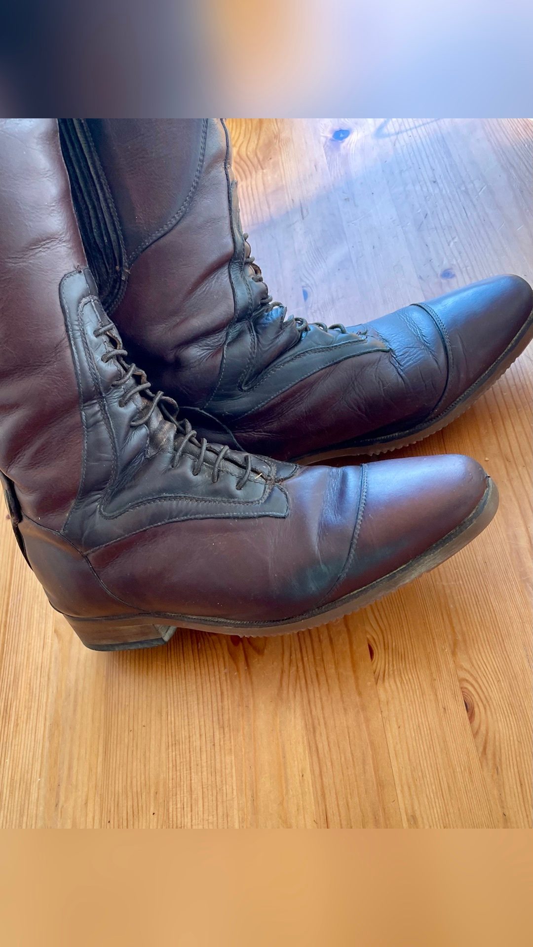 Bottes Mountain Horse taille 39, média 6