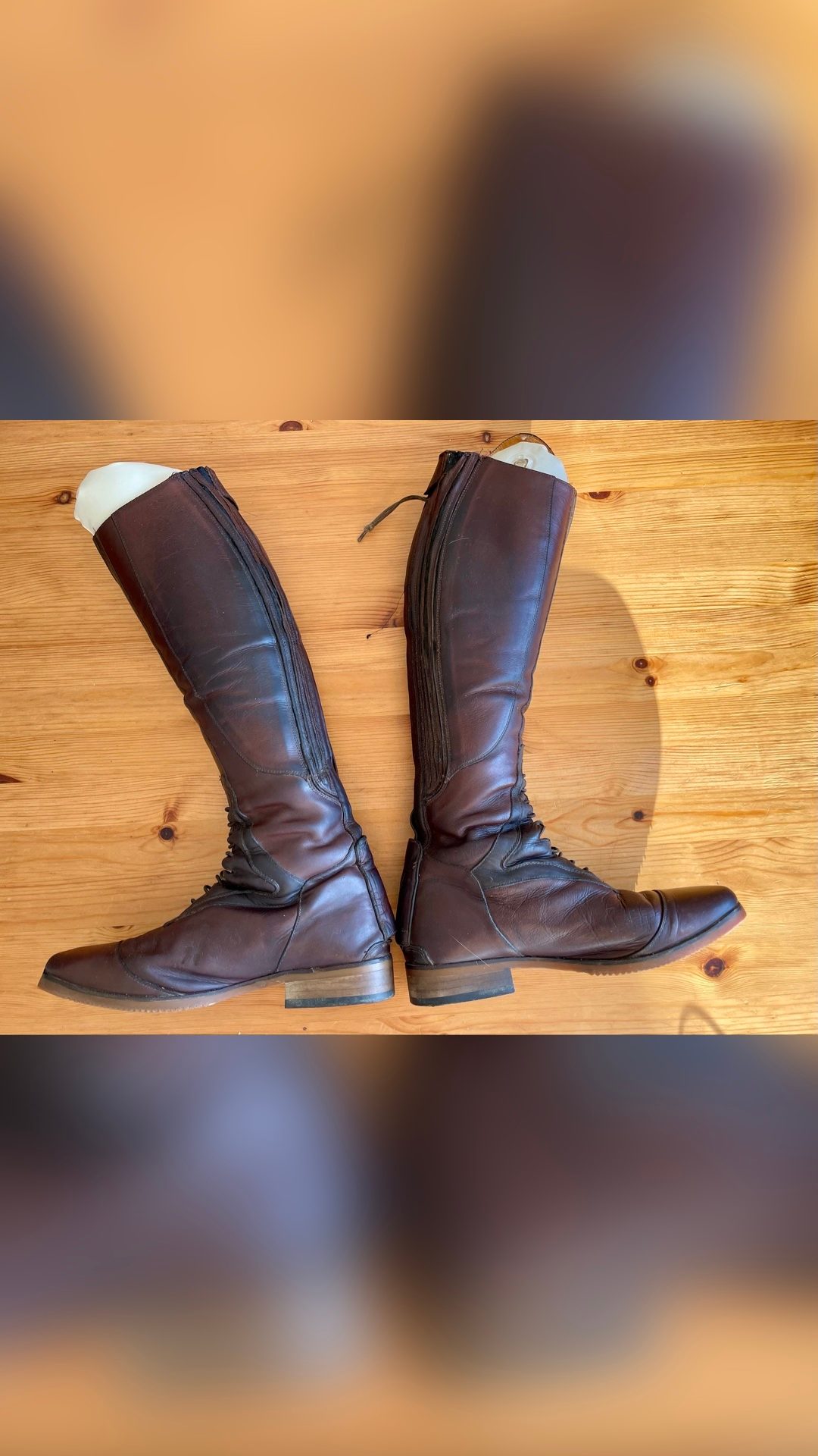 Bottes Mountain Horse taille 39, média 2