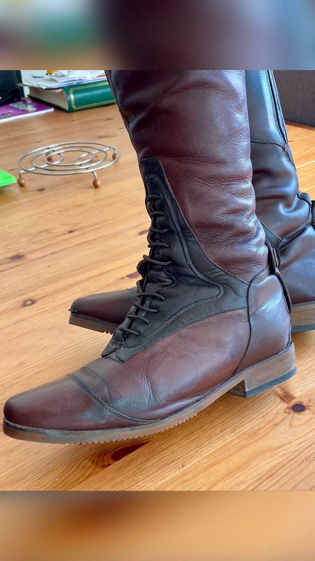 Bottes Mountain Horse taille 39, média 7