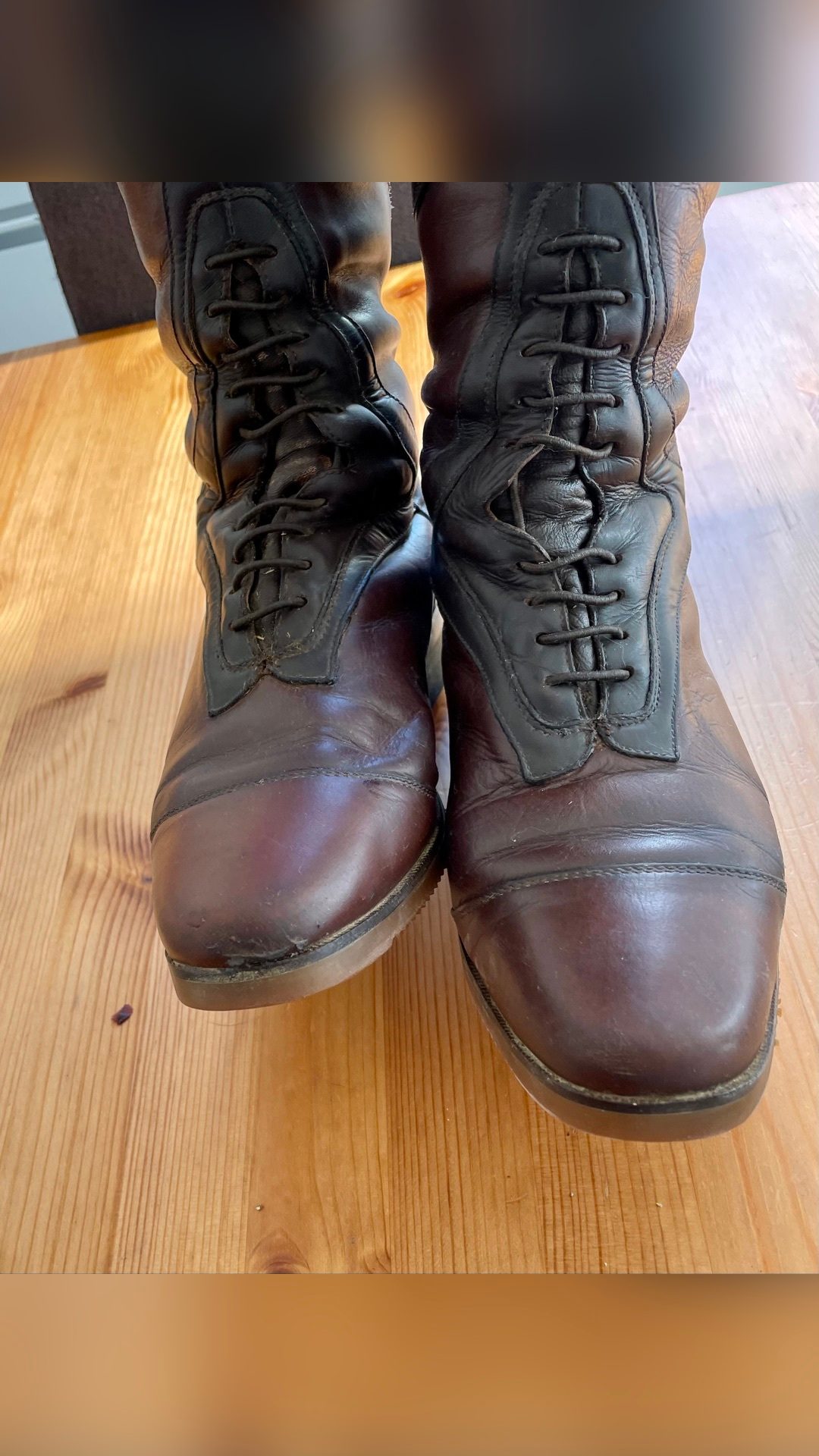 Bottes Mountain Horse taille 39, média 5