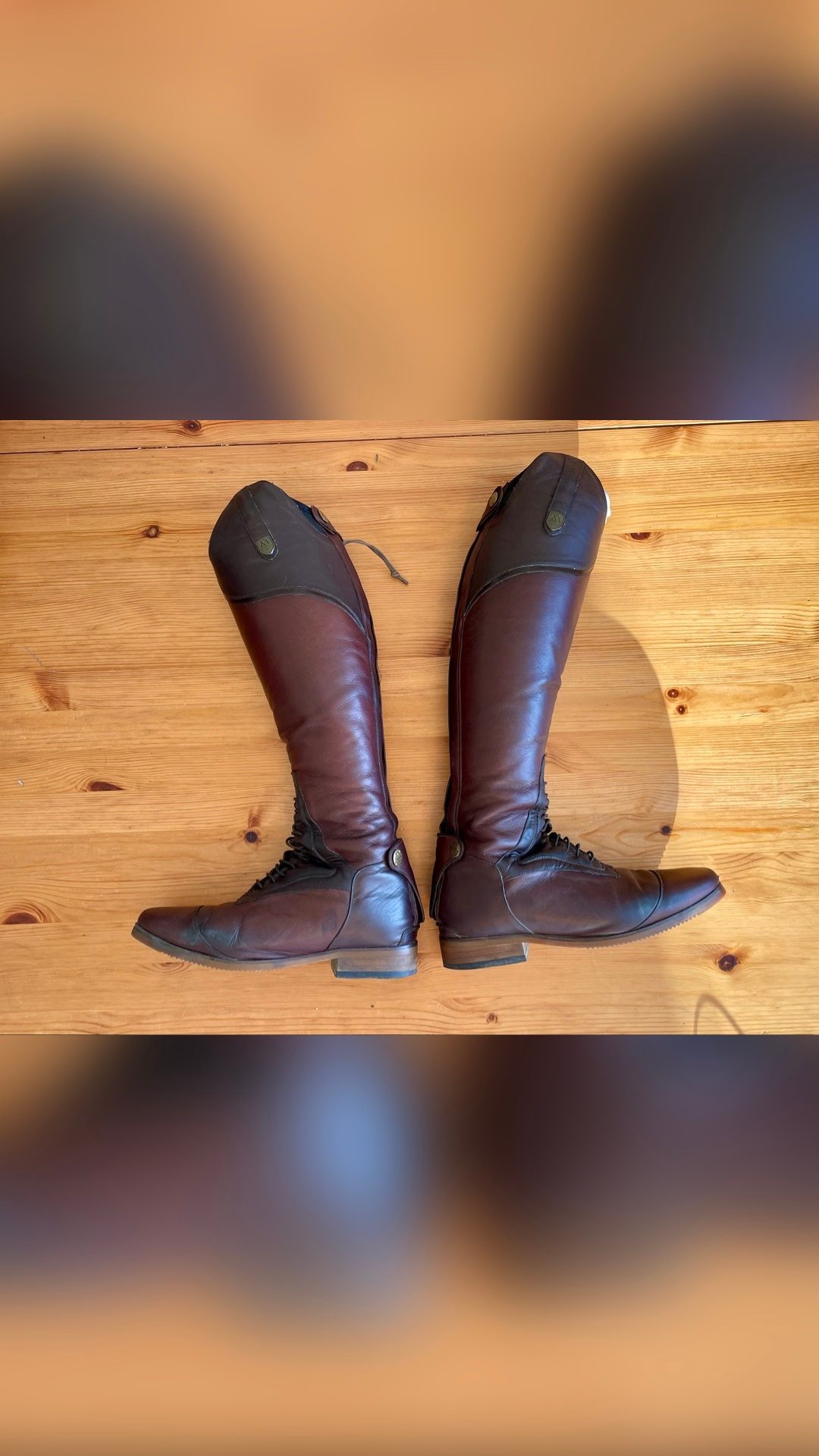 Bottes Mountain Horse taille 39, média 3