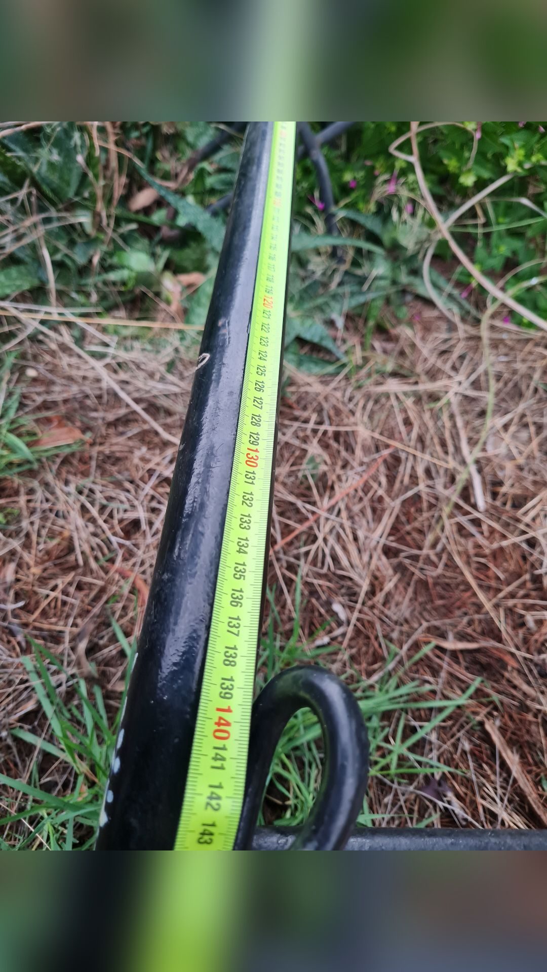 Carriole poney et ânes, média 7