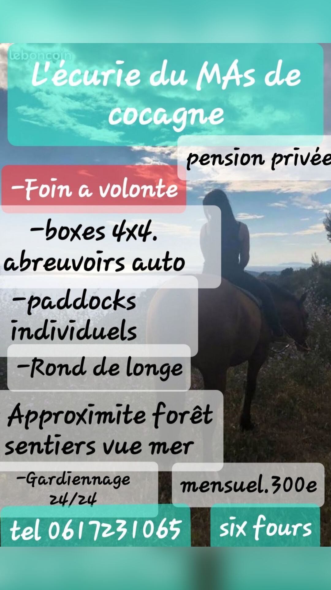 Pension foin a volonté, média 5